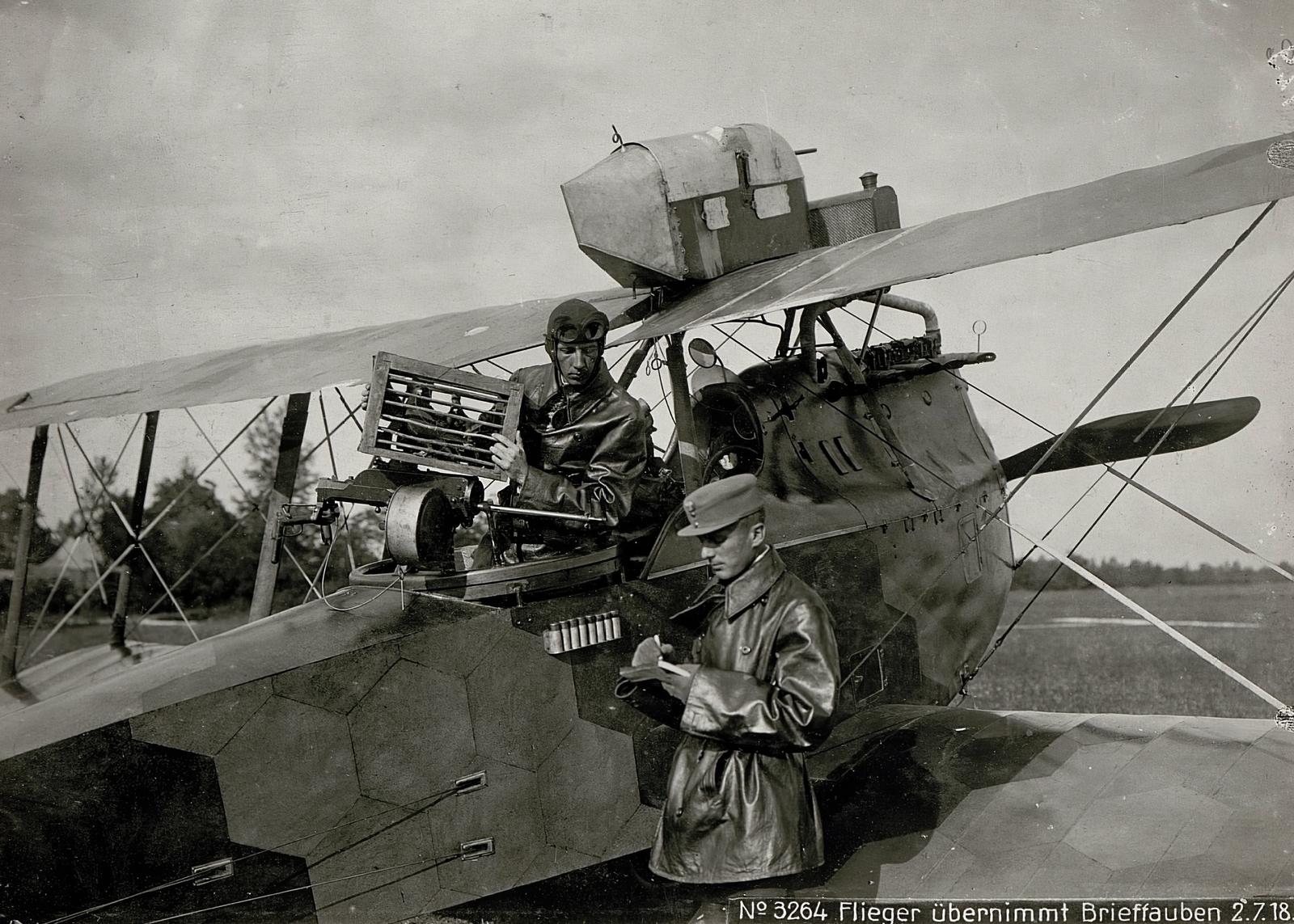 Olaszország, Veneto tartomány, a Császári és Királyi Hadsereg postagalambokat szállító Hansa-Brandenburg C.I felderítő repülőgépe., 1918, Österreichische Nationalbibliothek, első világháború, repülőgép, Hansa-Brandenburg-márka, Hansa-Brandeburg C.I, biplán, postagalamb, bőrkabát, Fortepan #212549