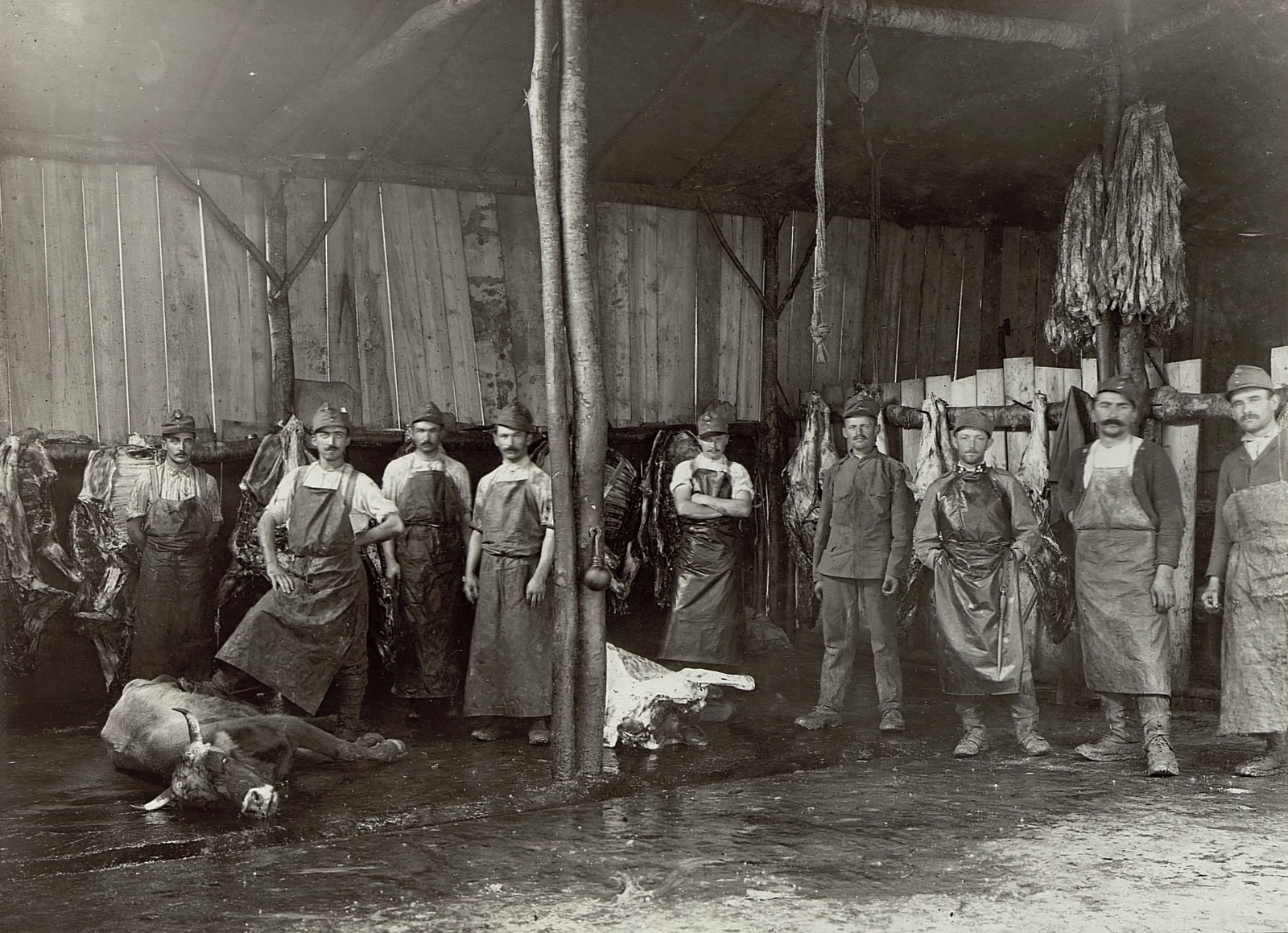 Szlovénia, Tolmin, a várostól északra, a hegyek között, a Tolminka-patak völgyében lévő Pologar. Tábori mészárszék., 1915, Österreichische Nationalbibliothek, Best of, hentes, szarvasmarha, kötény, karba tett kéz, Fortepan #212556
