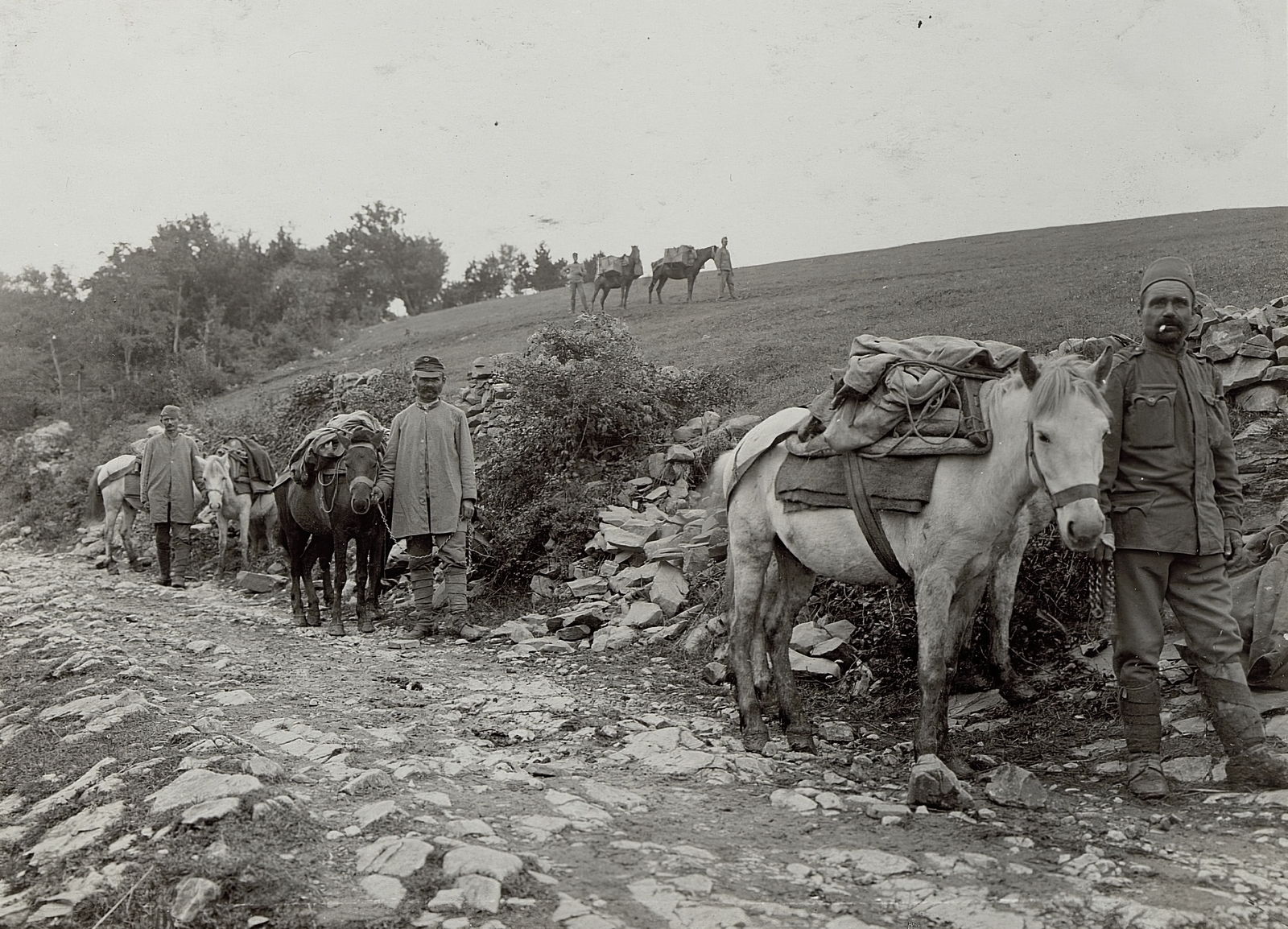 Szlovénia, a Császári és Királyi Hadsereg lőszerutánpótlás-szállító karavánja., 1915, Österreichische Nationalbibliothek, első világháború, teherhordás, lőszer, Fortepan #212588