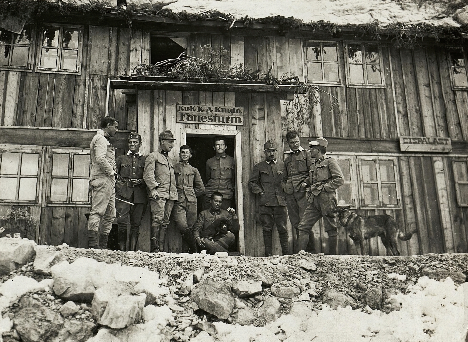 Italy, a Császári és Királyi Hadsereg egyik parancsnoki állása a Dolomitokban, a Fanis-hegység közelében., 1916, Österreichische Nationalbibliothek, dog, First World War, Fortepan #212615