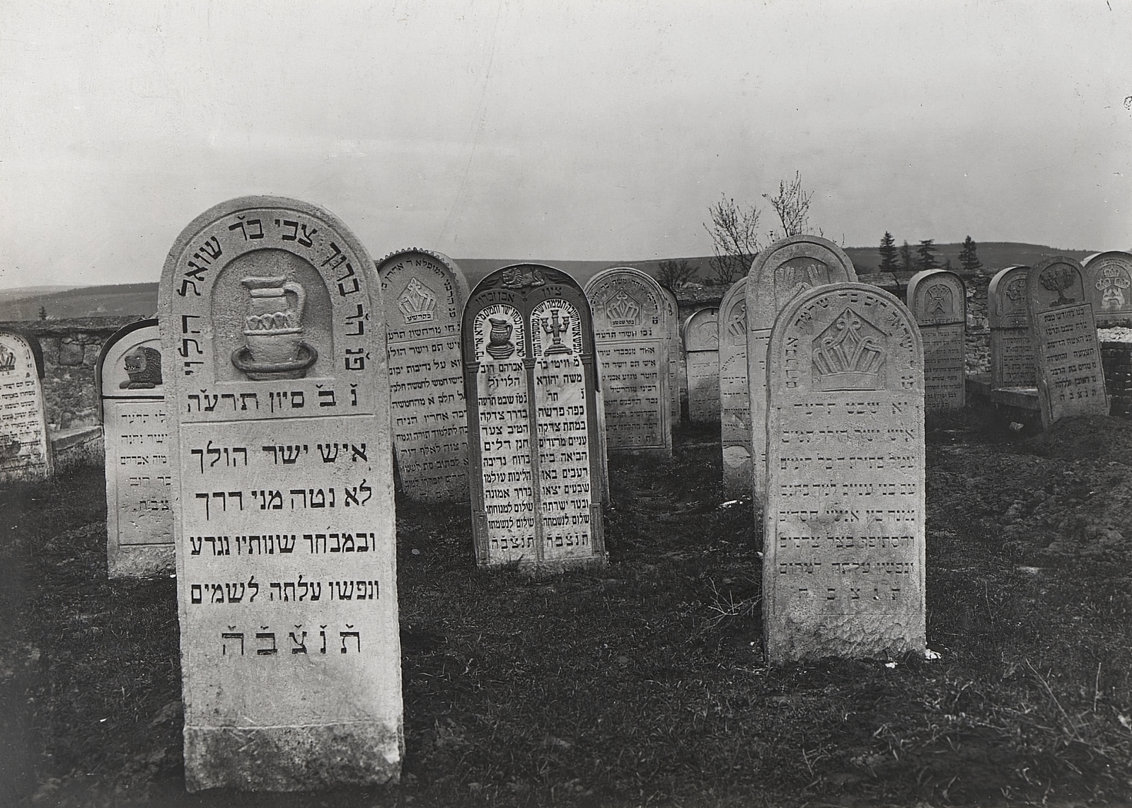 Ukraine, Berezhany, (ekkor Brzezany), zsidó temető., 1917, Österreichische Nationalbibliothek, cemetery, judaism, tombstone, Fortepan #212664