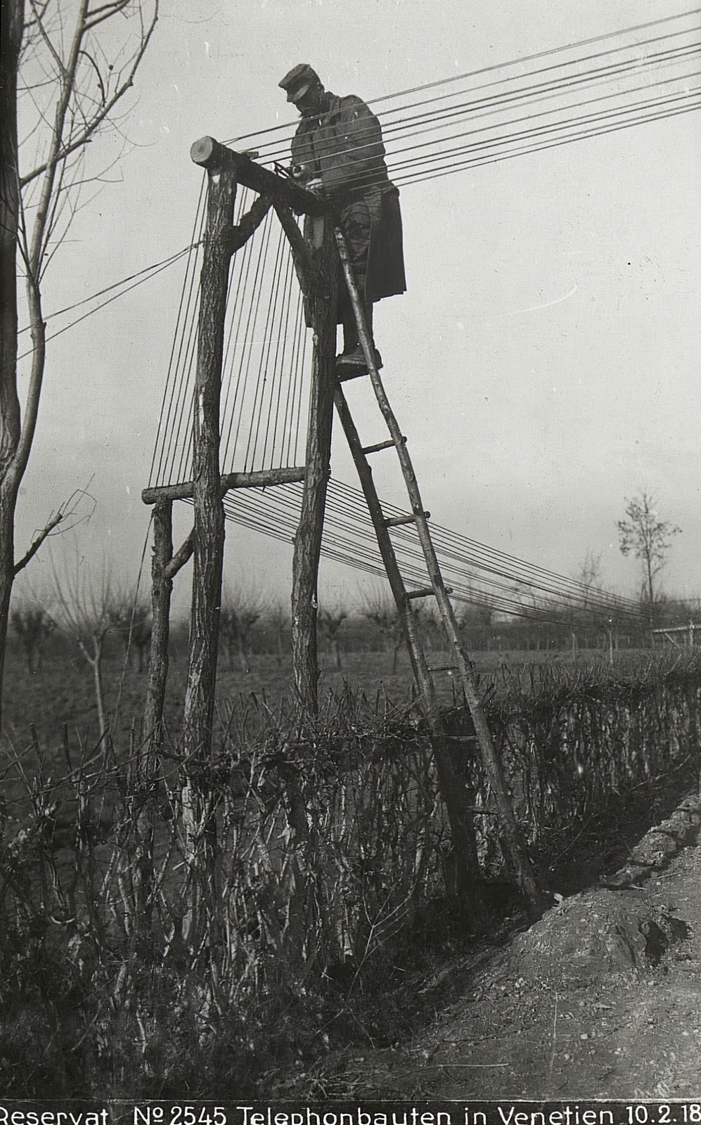 Italy, Veneto tartomány, a Császári és Királyi Hadsereg telefonvezeték építő katonája., 1918, Österreichische Nationalbibliothek, Fortepan #212840