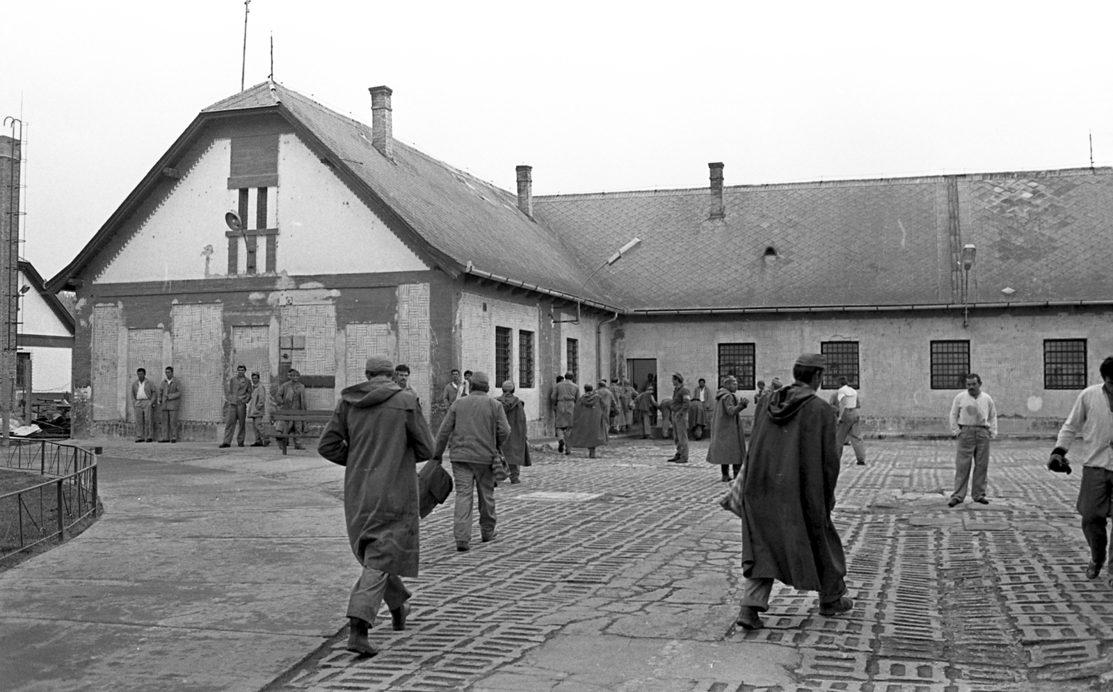 Hungary, Harta, Miklapuszta, Állampusztai Célgazdaság / rabgazdaság., 1986, Urbán Tamás, prisoner, Fortepan #213478