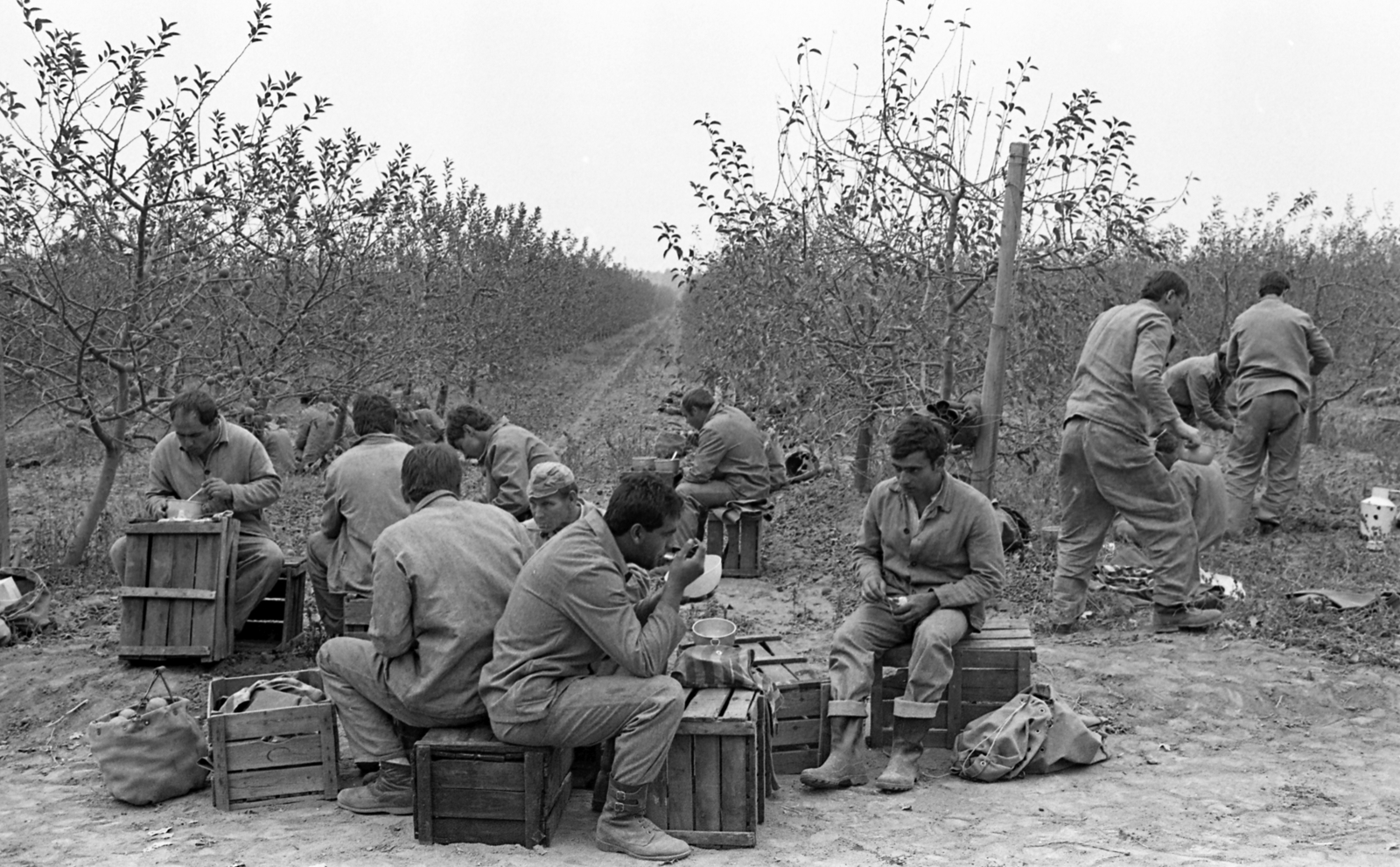 Hungary, Harta, Miklapuszta, Állampusztai Célgazdaság / rabgazdaság., 1986, Urbán Tamás, relaxation, meal, Fortepan #213482