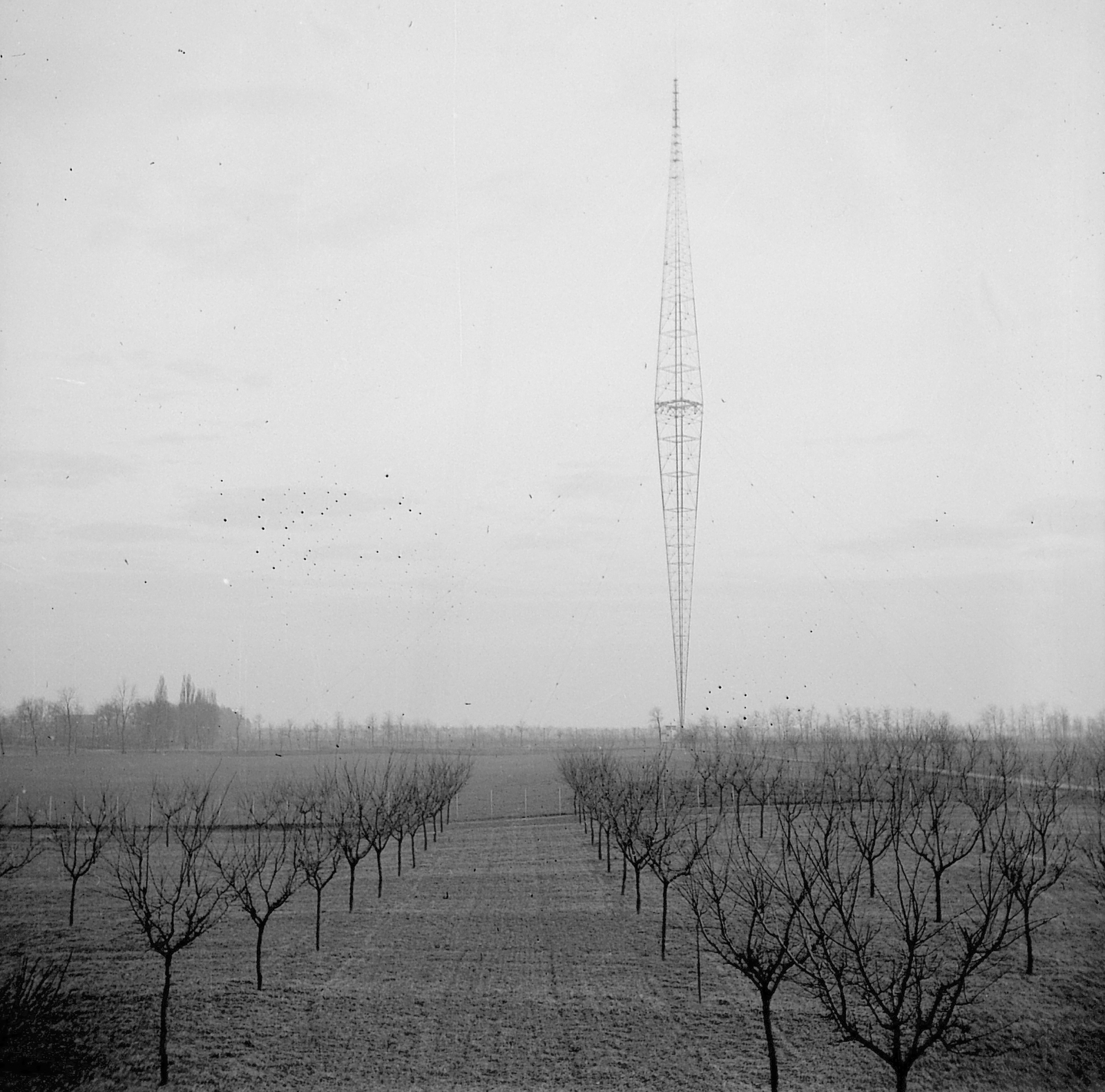 Magyarország, Halásztelek, (ekkor Tököl külterülete), Korbuly birtok. Háttérben a 314 méter magas lakihegyi antennatorony, mely 1933-as átadása óta Magyarország legmagasabb építménye., 1935, Korbuly, Fortepan #2136