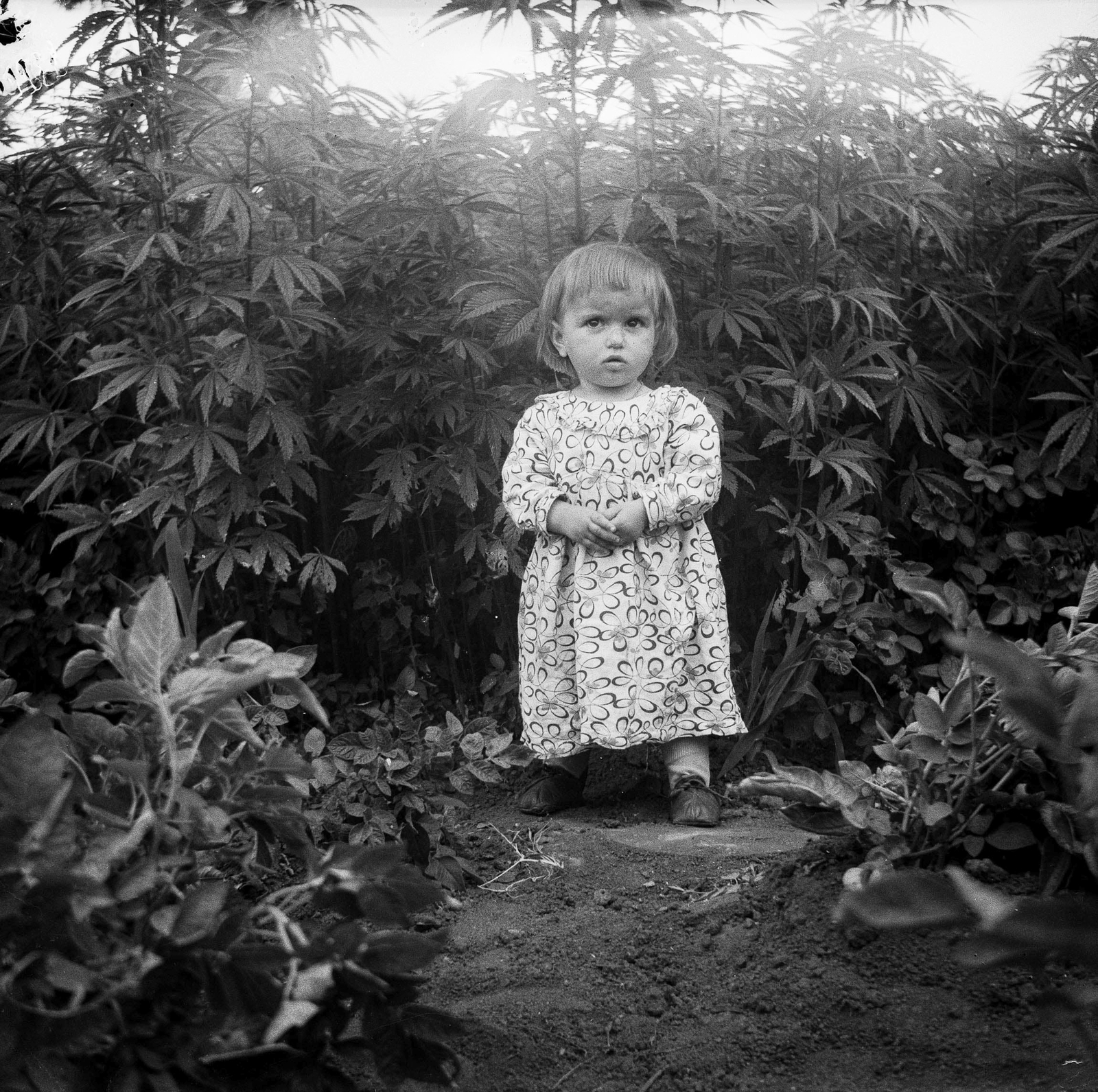 1958, Zaharia Cusnir, portrait, girl, kid, photo aspect ratio: square, Fortepan #213866