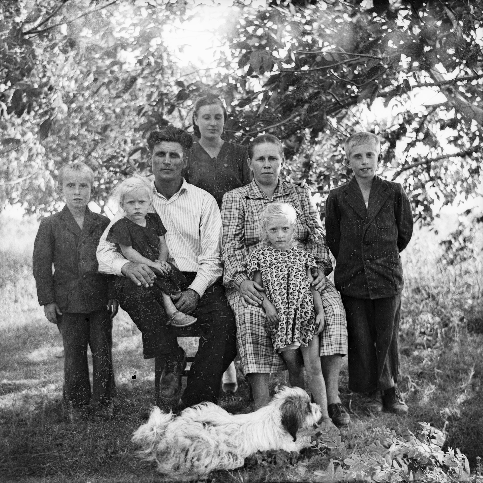 Moldova, Roșietici, 1964, Zaharia Cusnir, család, kutya, csoportkép, gyerekek, képarány: négyzetes, Fortepan #213871