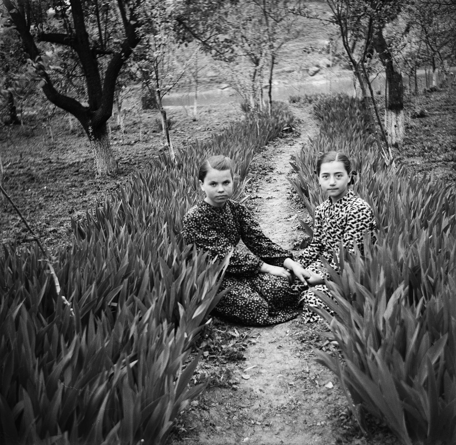 Moldova, Roșietici, 1962, Zaharia Cusnir, Fortepan #213896