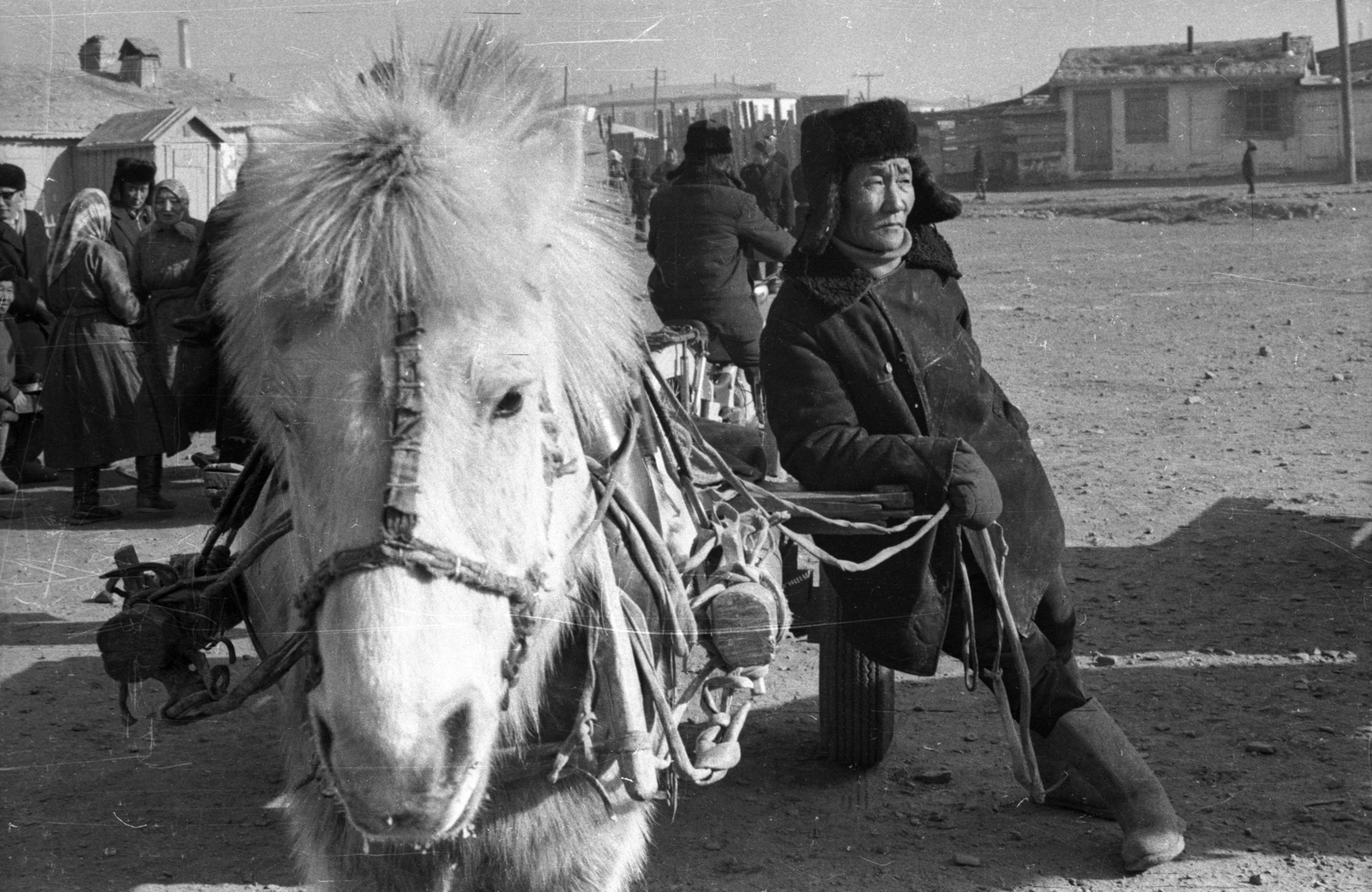 Mongolia, Ulánbátor, 1969, Gábor Viktor, Fortepan #214036