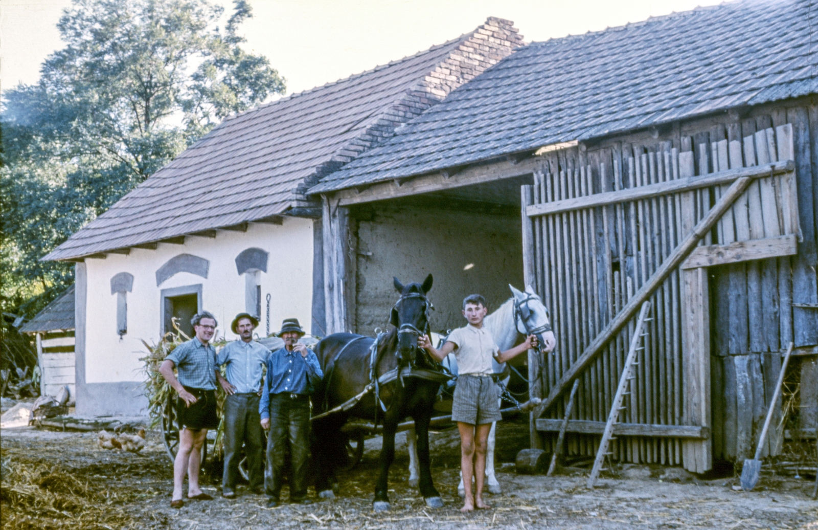 1956, Heinz Bachmann, colorful, Horse-drawn carriage, Fortepan #214069