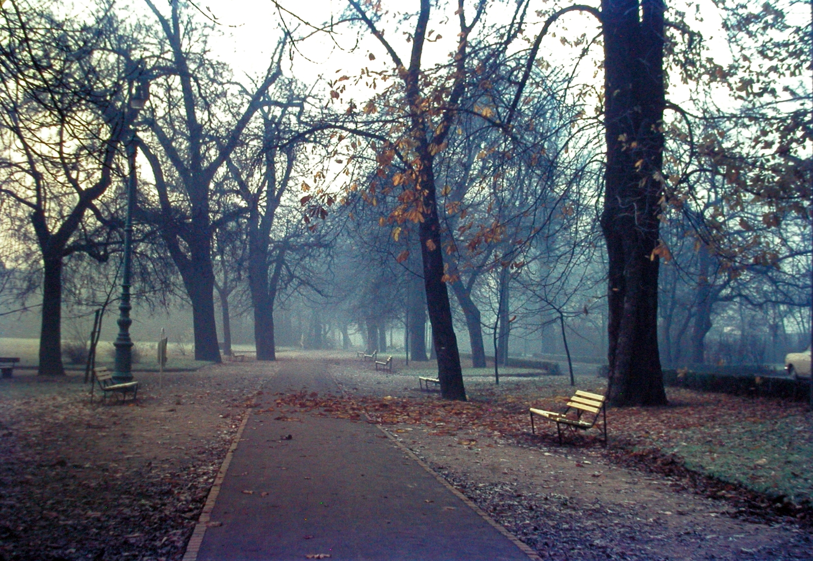 Magyarország, Margitsziget, Budapest, 1977, Fortepan, utcabútor, színes, ősz, pad, szemetes, Szentendre típusú pad, Fortepan #21426