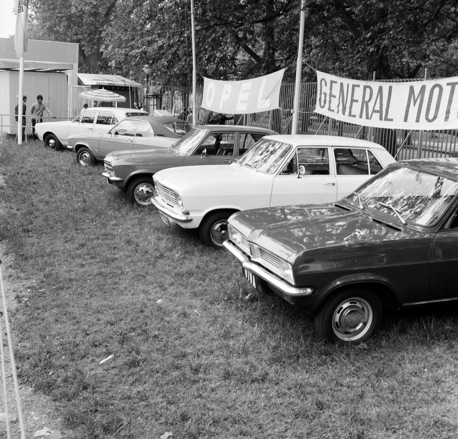 Hungary, Budapest XIV., 1971, FŐFOTÓ, Budapest, Fortepan #214990