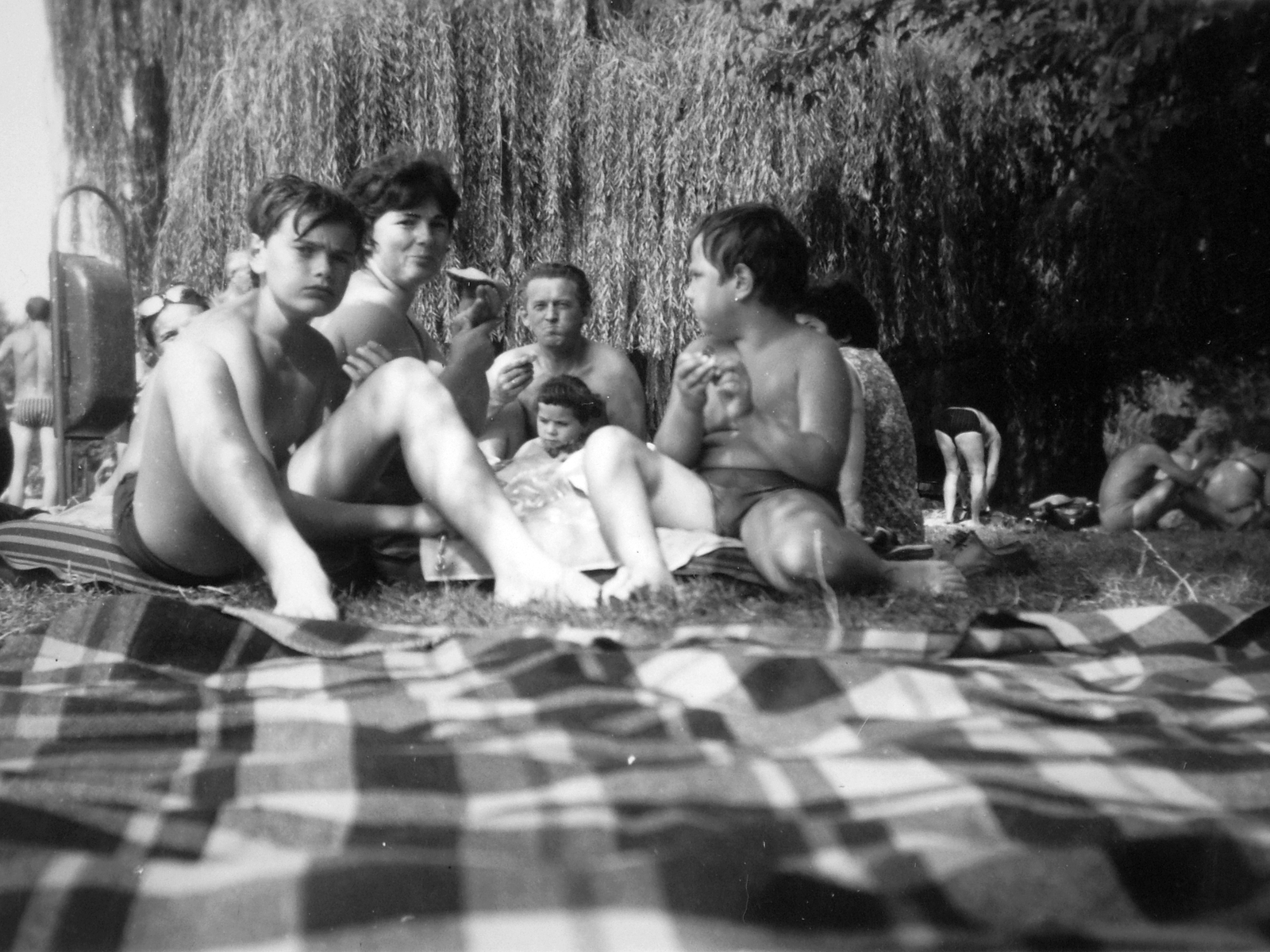1971, Nagy Csilla, beach, family, willows, Fortepan #21530