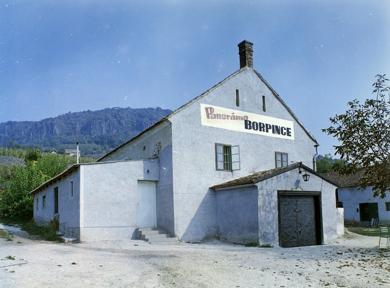 Magyarország,Balaton, Badacsonytomaj, Hegyalja út 14., Panoráma Borpince., 1971, FŐFOTÓ, Fortepan #215323