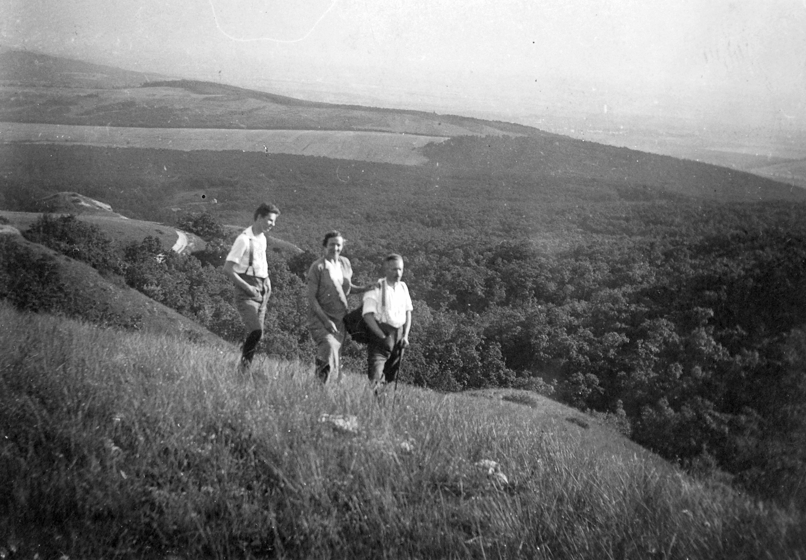 Magyarország, Páty, a Budai-hegység legmagasabb hegye a Nagy-Kopasz déli oldala, háttérben balra a Tarnai-pihenő., 1933, Hegedűs Judit, kirándulás, csoportkép, férfiak, látkép, nő, hegyoldal, Fortepan #21540