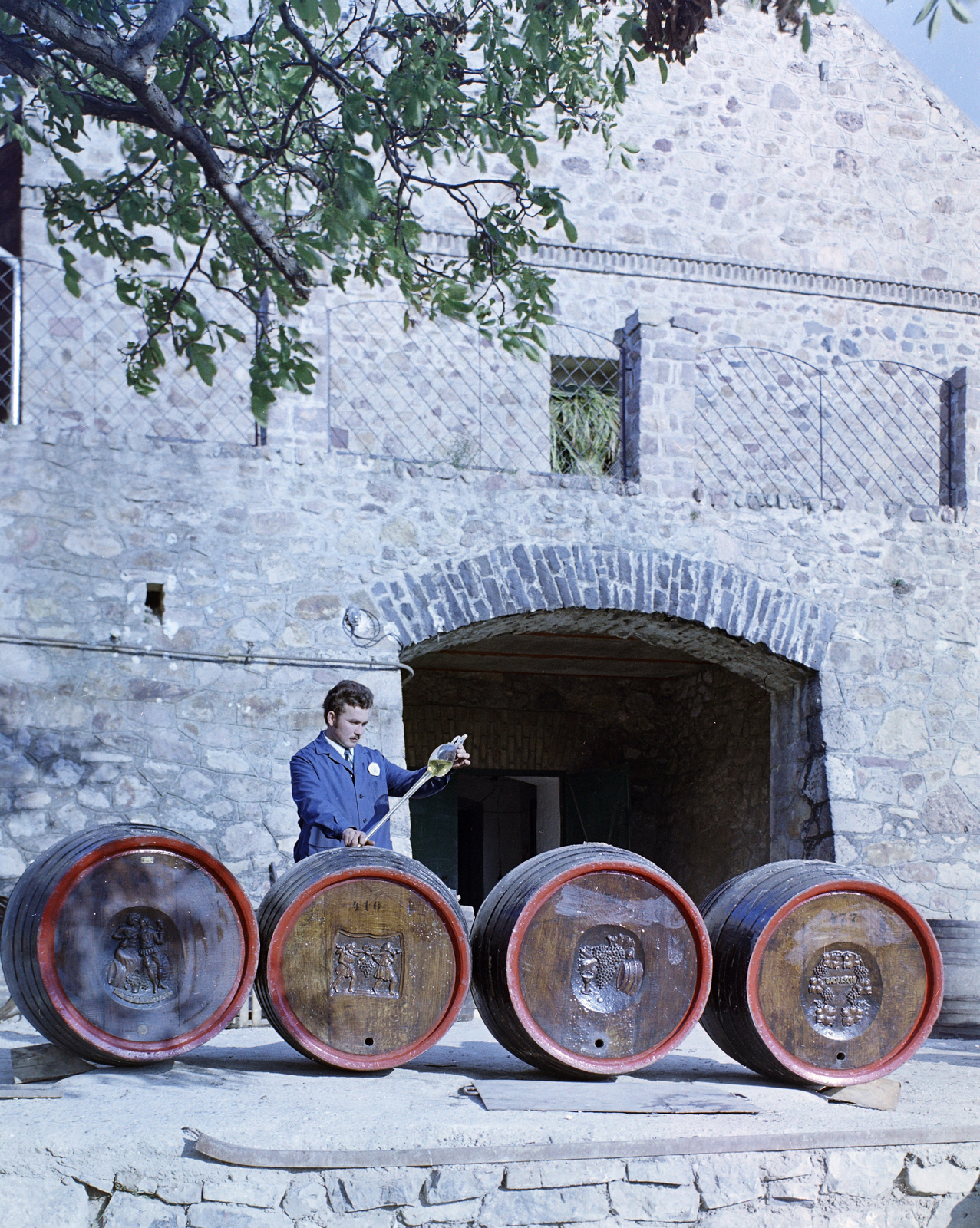 Hungary,Lake Balaton, Badacsonytomaj, Esterházy Csángó Pince, ekkor a Badacsonyi Szőlősgazdák Hegyközség Szakszövetkezete használatában., 1971, FŐFOTÓ, colorful, Fortepan #215408
