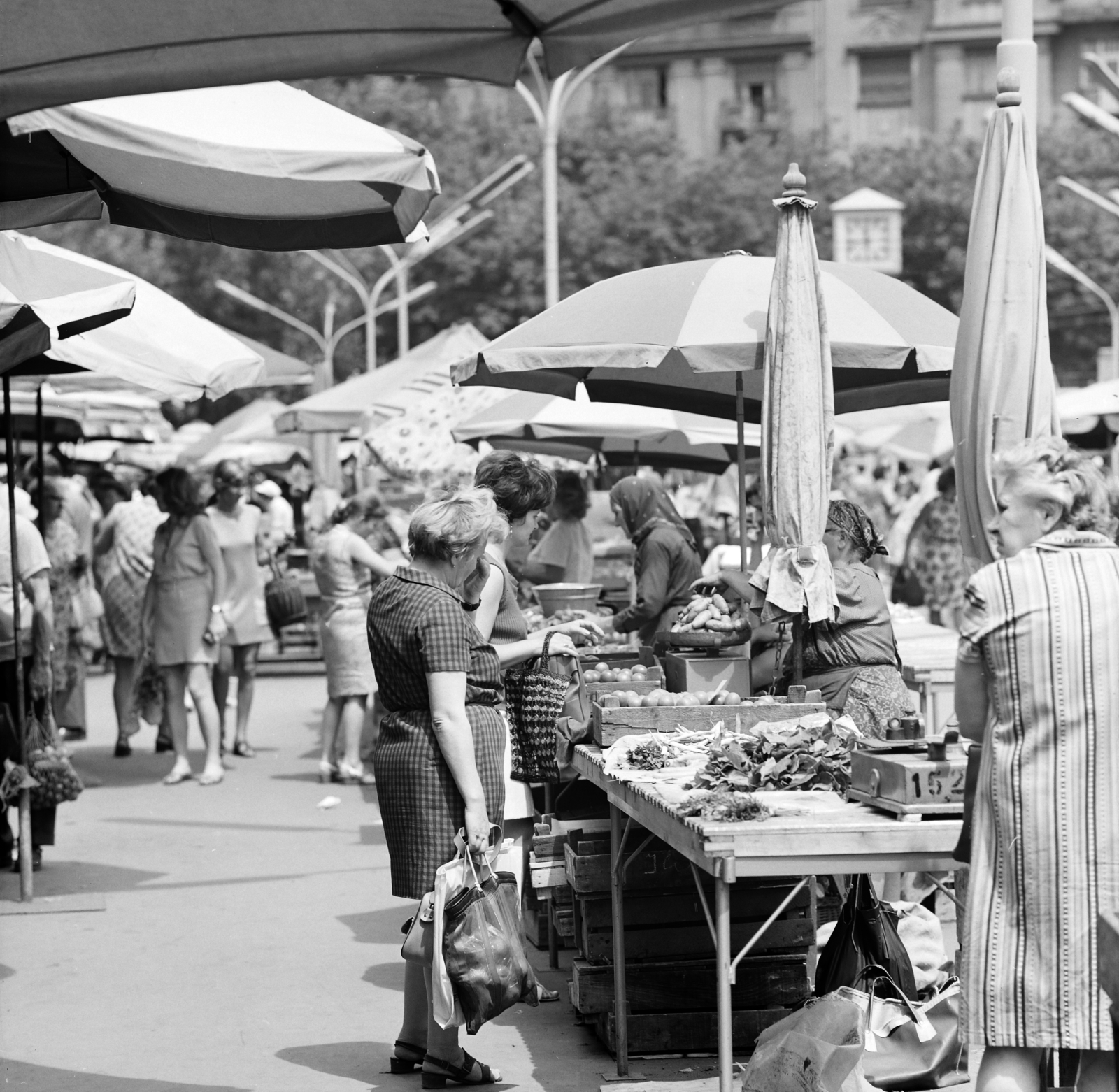 Hungary, Budapest XIII., Lehel (Élmunkás) téri piac., 1972, FŐFOTÓ, Budapest, weight, bag, sunshades, costermonger, genre painting, market, shopping, Fortepan #215485