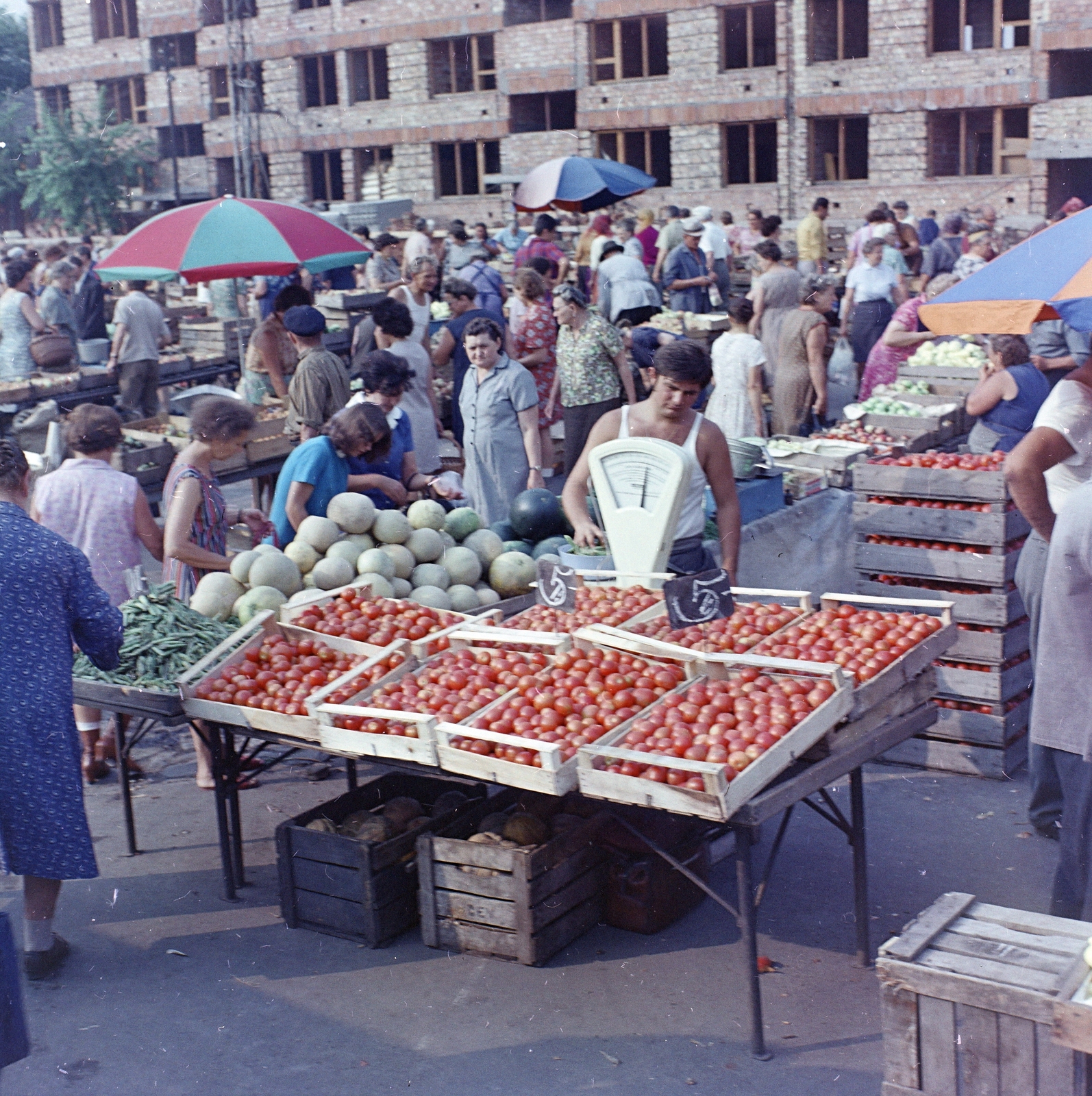 Hungary, Budapest XX., Tátra téri Piac és Vásárcsarnok., 1972, FŐFOTÓ, Budapest, scale, Fortepan #215623