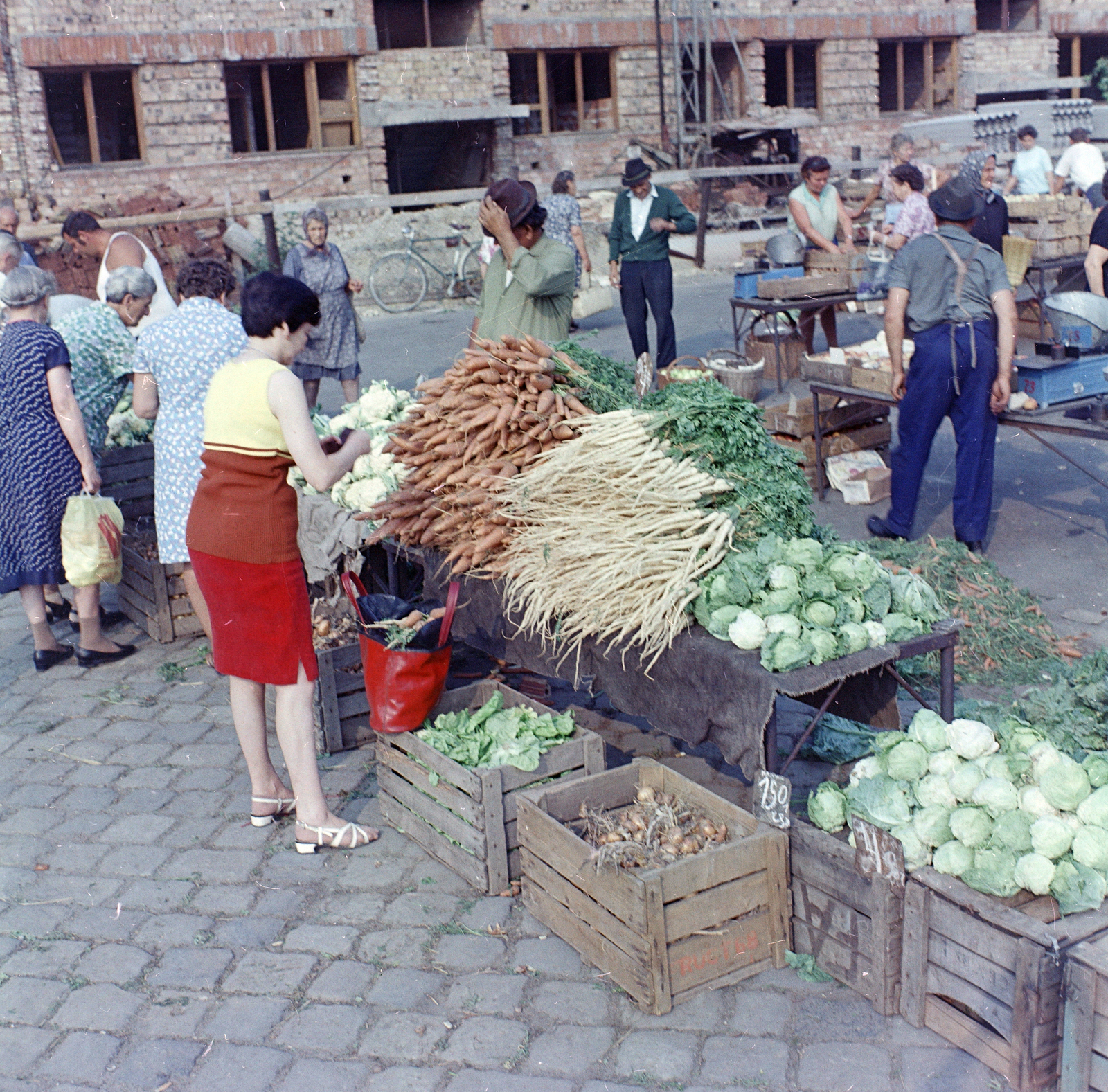 Magyarország, Budapest XX., Tátra téri Piac és Vásárcsarnok., 1972, FŐFOTÓ, Budapest, Fortepan #215632