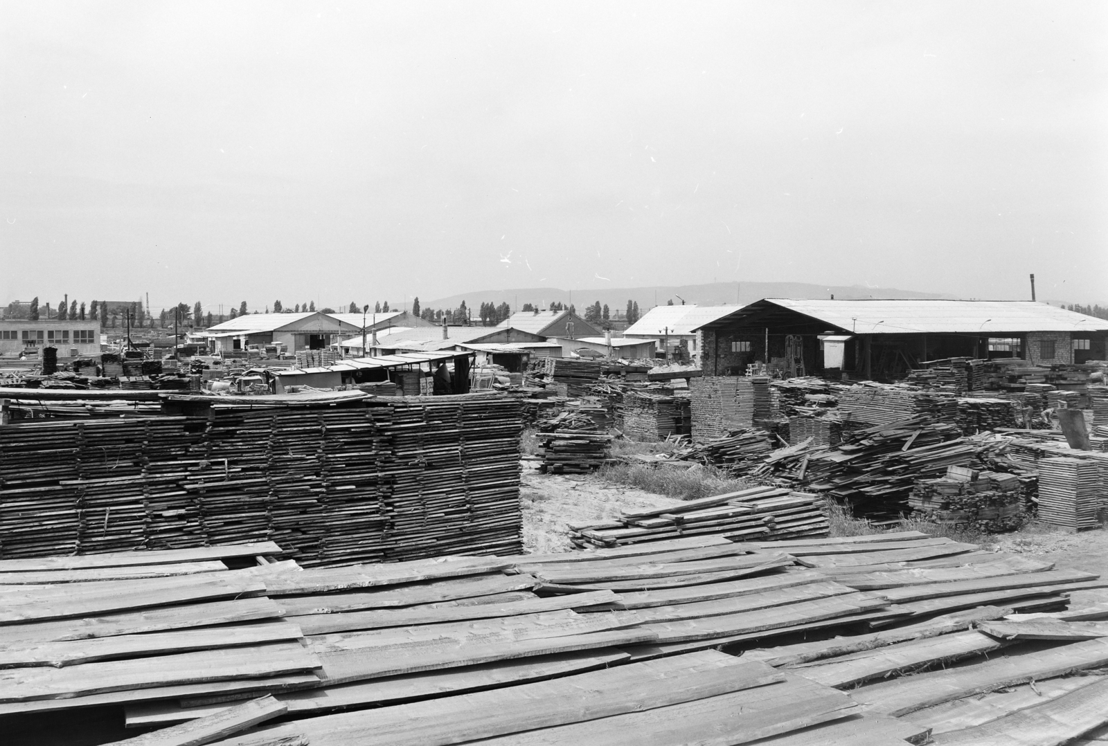 Magyarország, Budapest XXI., Csepel, Weiss Manfréd (Szabadkikötő) út 14., fatelep a Szállító utcától északra., 1973, FŐFOTÓ, Budapest, Fortepan #215976