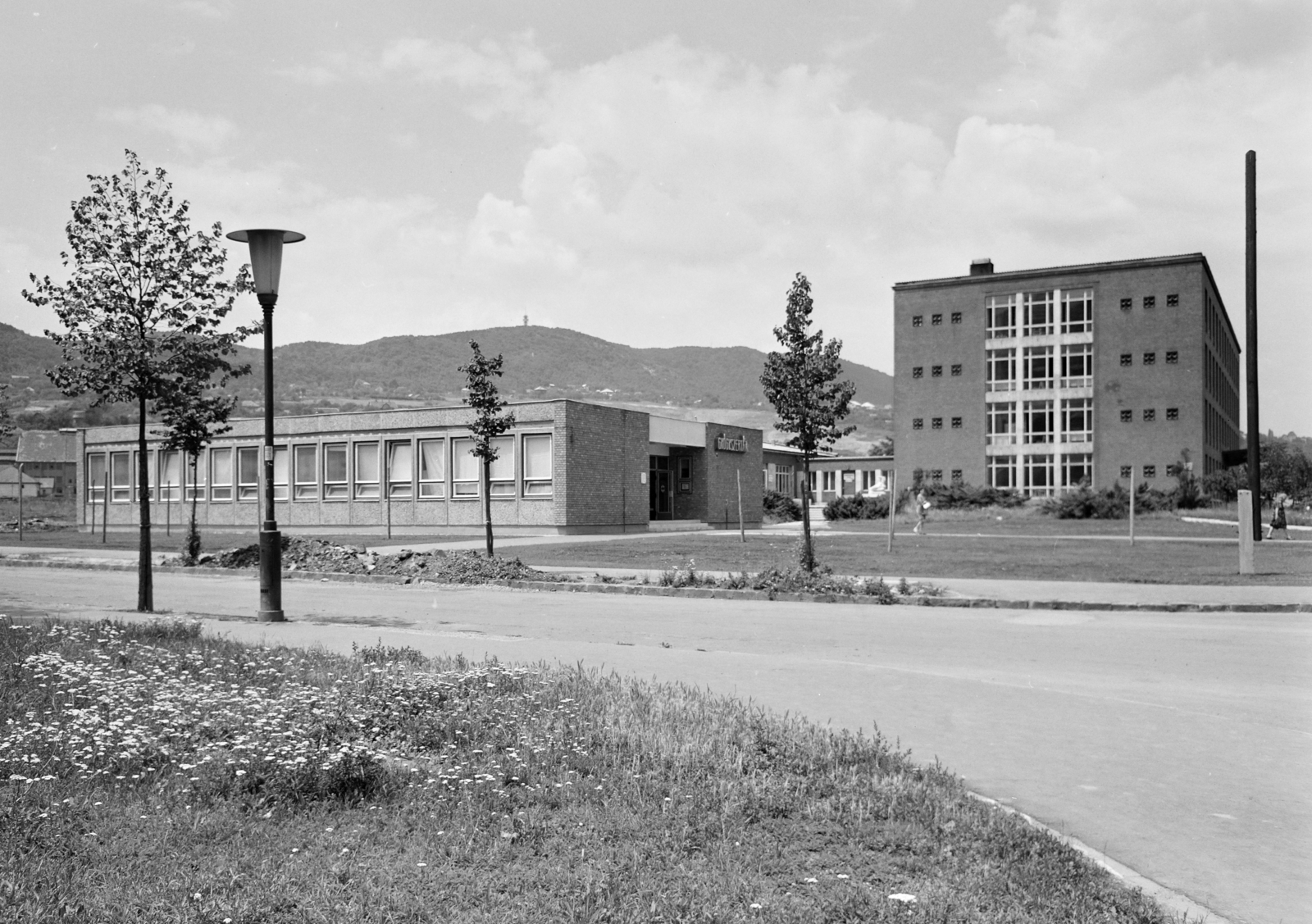 Hungary, Óbuda, Budapest III., Váradi utca, szemben a Vörösvári út 88-96., Szakorvosi Rendelőintézet, előtte a gyógyszertár., 1973, FŐFOTÓ, pharmacy, Budapest, blocks, Fortepan #216113