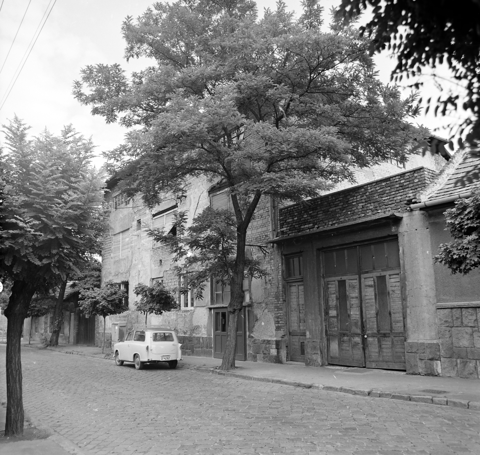 1974, FŐFOTÓ, number plate, Fortepan #216254