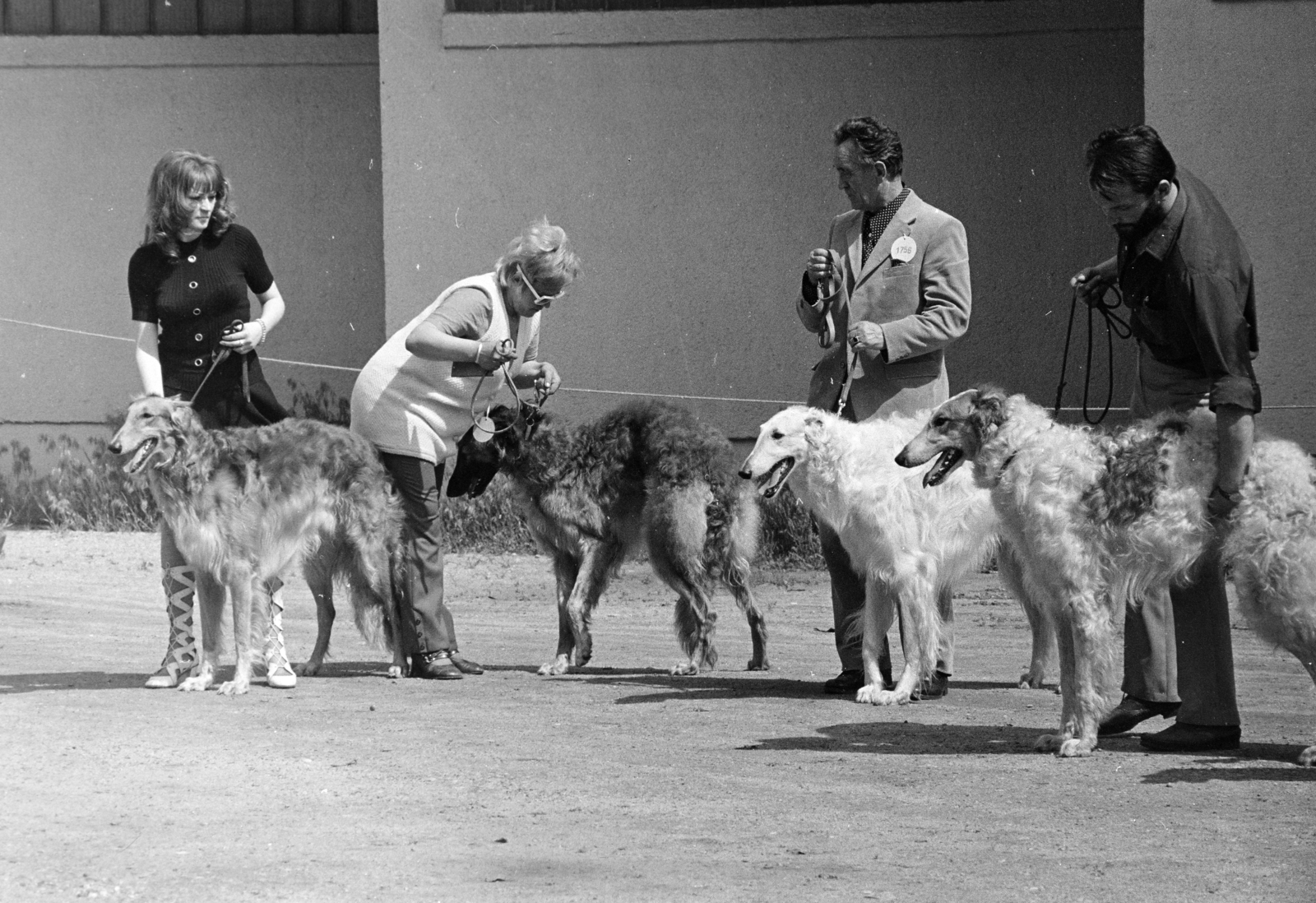 1978, Gothár Péter, dog show, Fortepan #216557