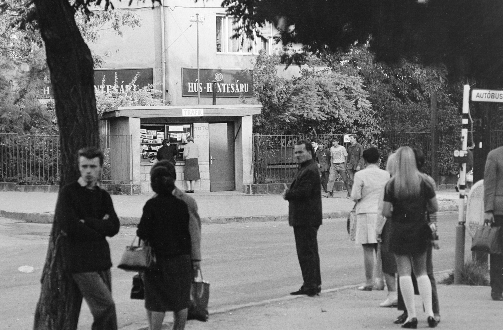 1974, Gothár Péter, waiting, bus stop, Fortepan #216594