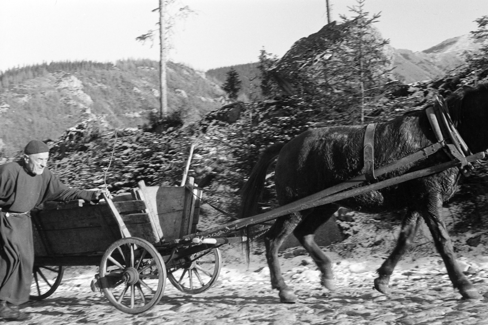 1969, Gothár Péter, old person, chariot, Fortepan #216757