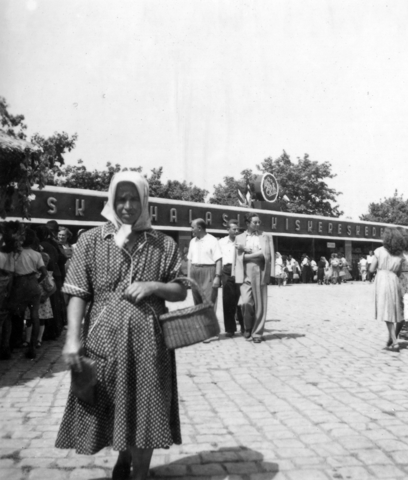 Magyarország, Baja, Szentháromság (Béke) tér., 1953, Barabás Sarolta, kosár, fejkendő, áruház, pöttyös ruha, kiskereskedelem, nő, üzletsor, Fortepan #216953