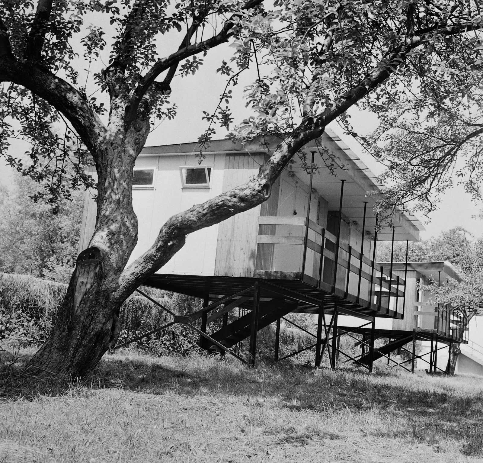 Hungary, Nagymaros, kemping., 1966, Kotnyek Antal, Fortepan #21716