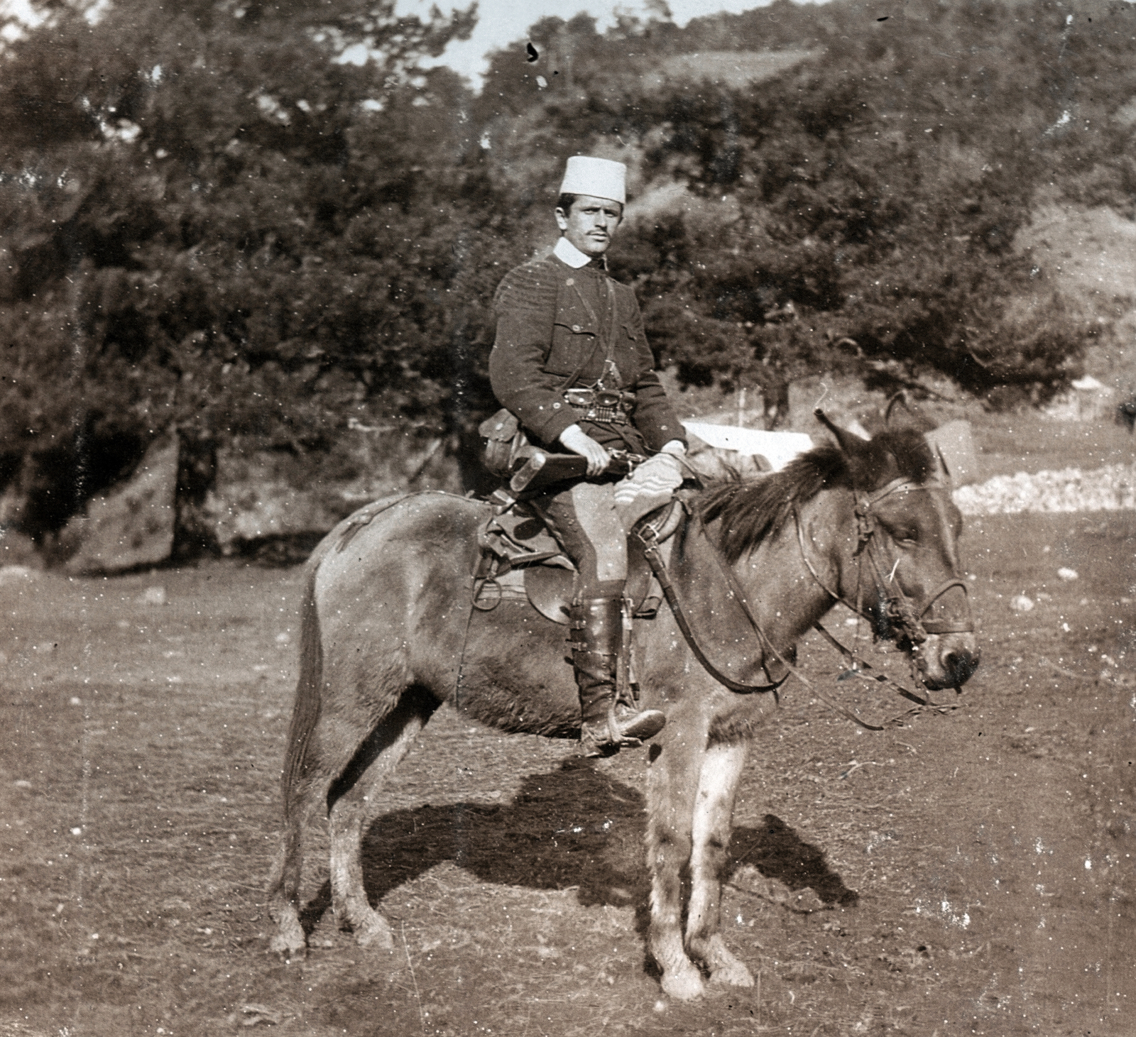 1917, Pohl Pálma, mule, Fortepan #217411