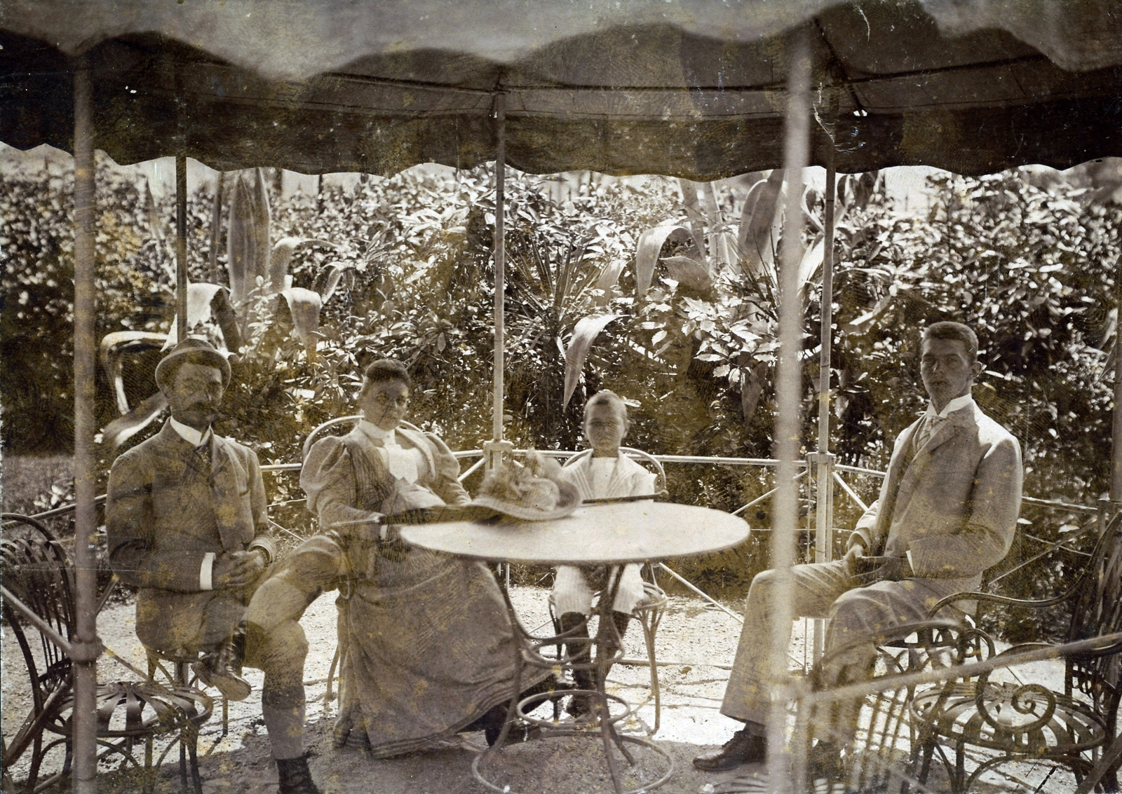 1905, Csuthy András, palm tree, outdoor chair, leg over leg, Fortepan #217601