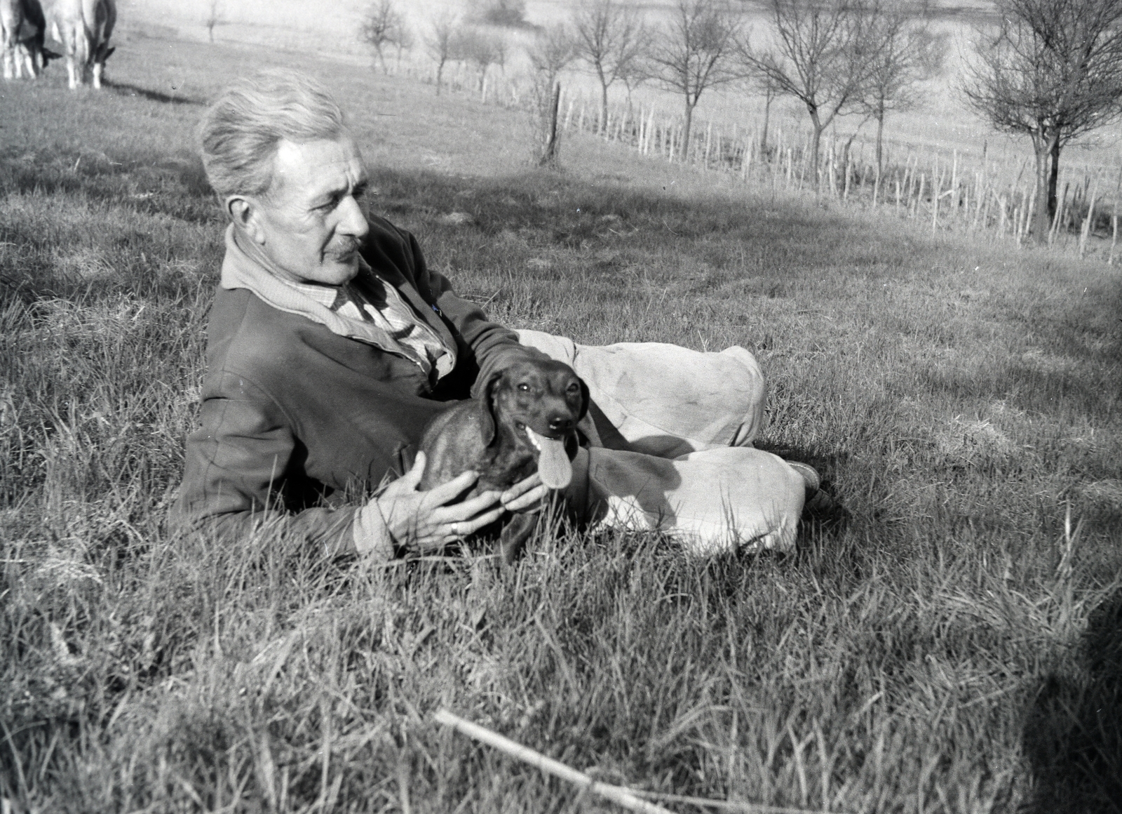 1963, Almássy László, lie in the grass, Dachshund, old person, Fortepan #217879