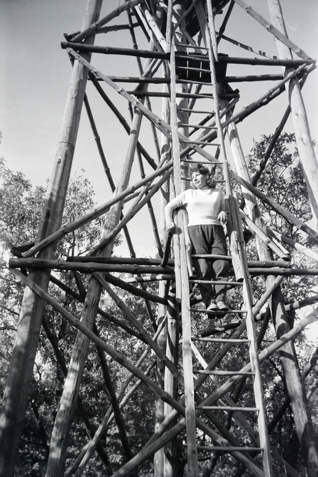1979, Almássy László, ladder, Fortepan #217942