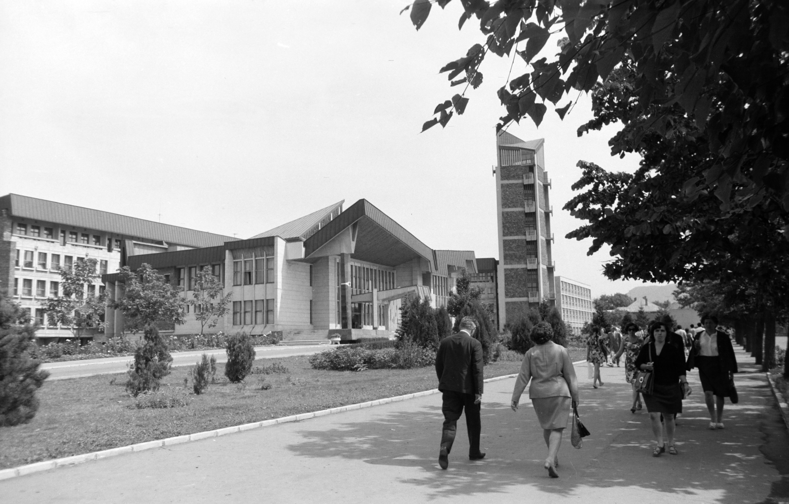 Romania,Transylvania, Baia Mare, Strada Şincai Gheorghe 46., Közigazgatási Palota / Máramaros megye politikai-közigazgatási központja., 1978, Kovács Annamária, Fortepan #218064