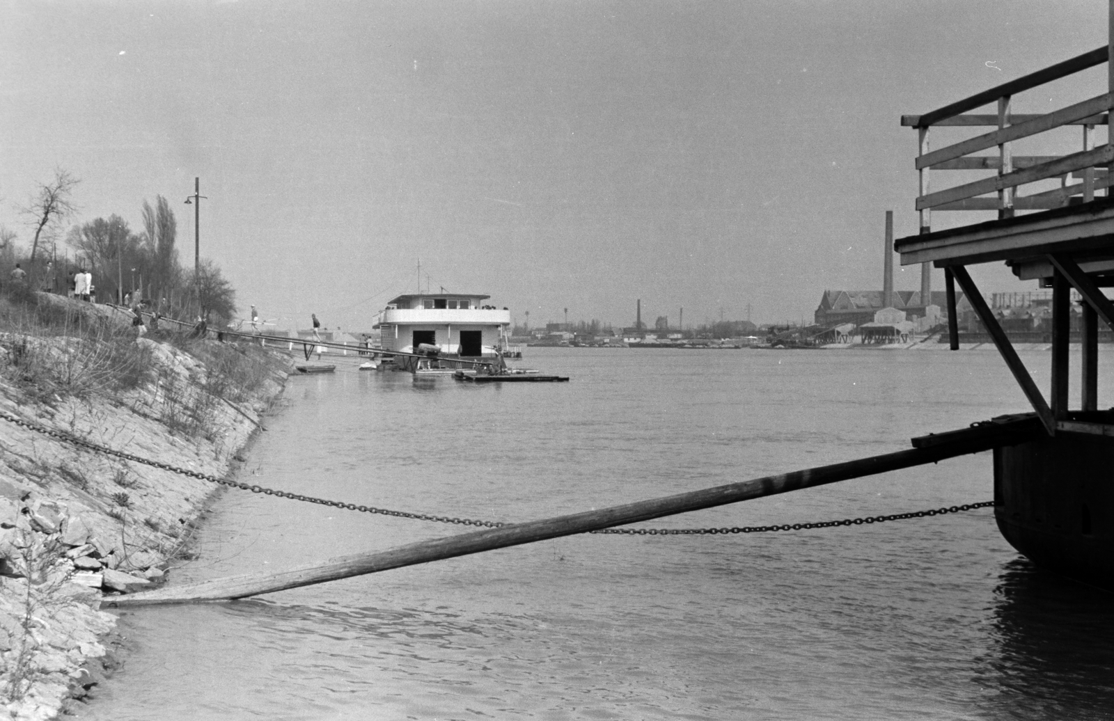 Magyarország, Margitsziget, Budapest, 1956, BL, folyópart, Fortepan #218242