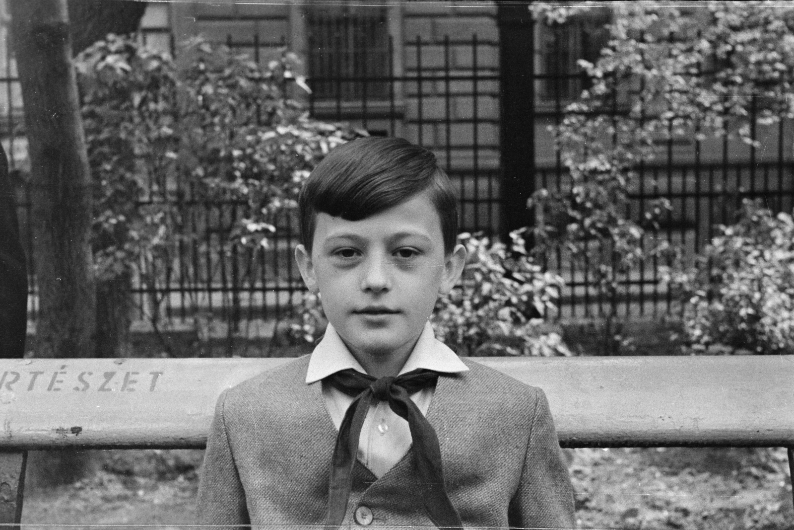 1958, Burszán Sándor, boy, hairdo, pioneer tie, Fortepan #218480
