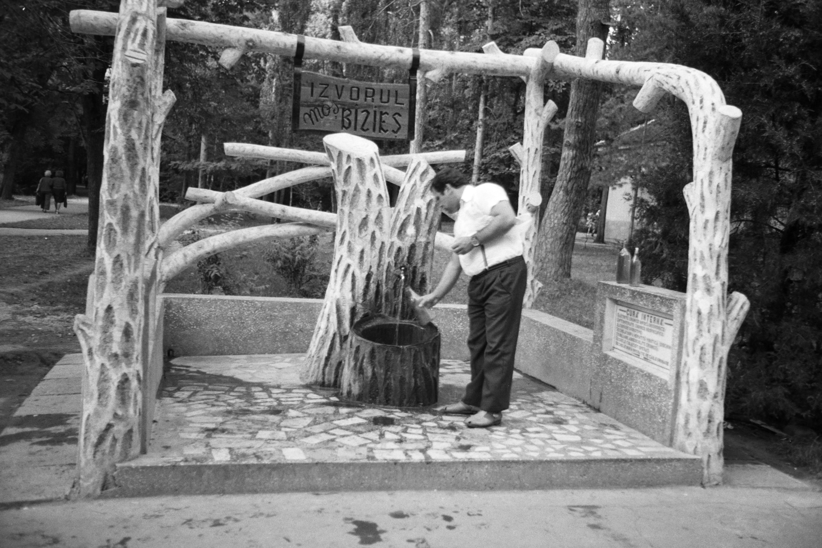 Románia,Erdély, Buziásfürdő, Moș Bîzieș-forrás a gyógyparkban., 1982, Dőri András, Fortepan #218566