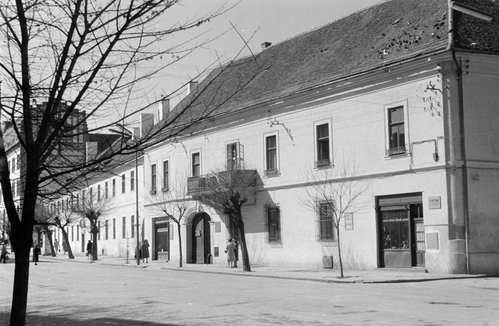 Románia,Erdély, Kolozsvár, Strada Universității (Egyetem utca), előtérben az Esterházy-ház, balra mellette a Báthory–Apor Szeminárium, más néven Szent József Fiúnevelde., 1962, Dőri András, Fortepan #218657