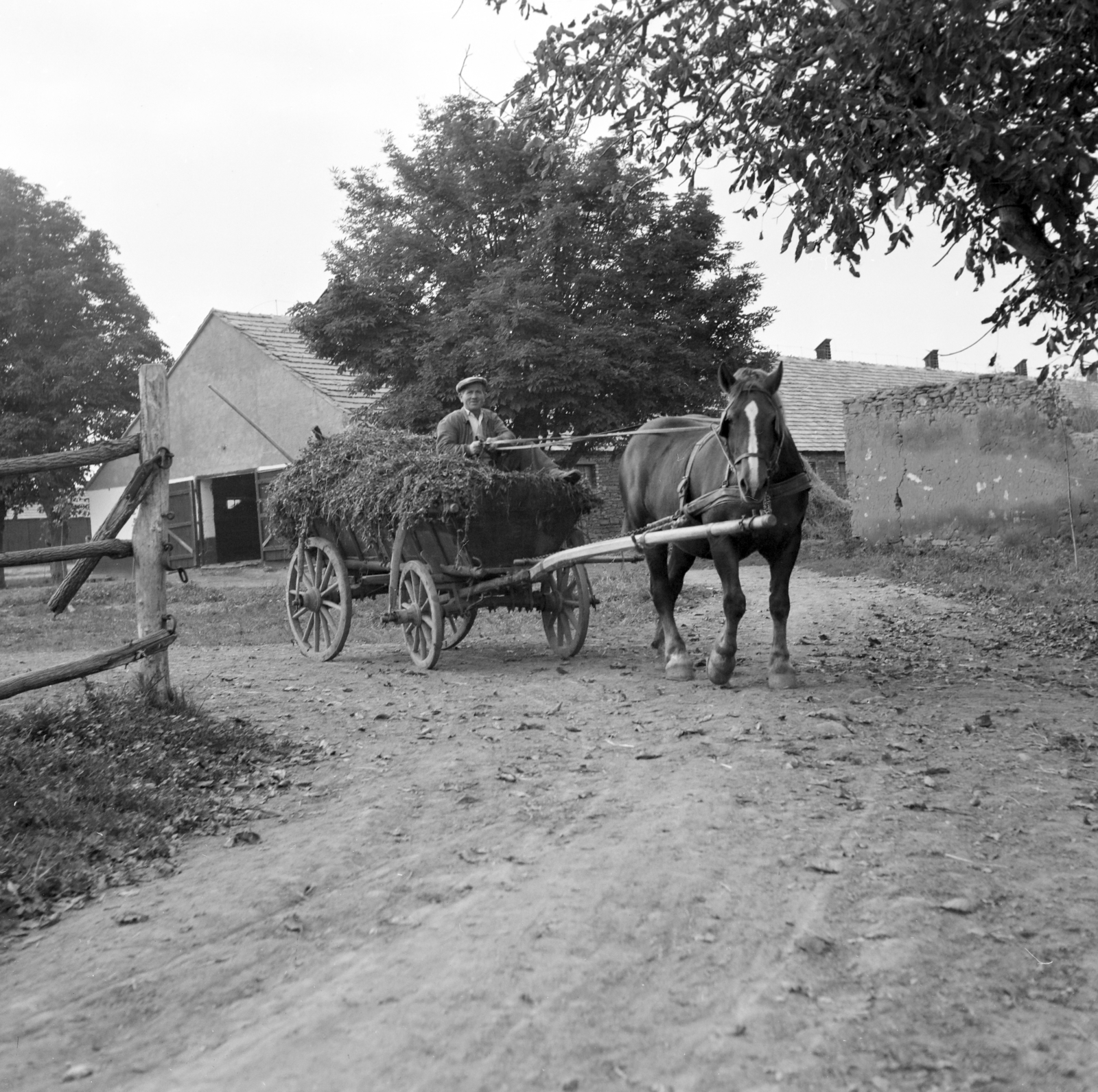 1967, Hunyady József, Fortepan #218995