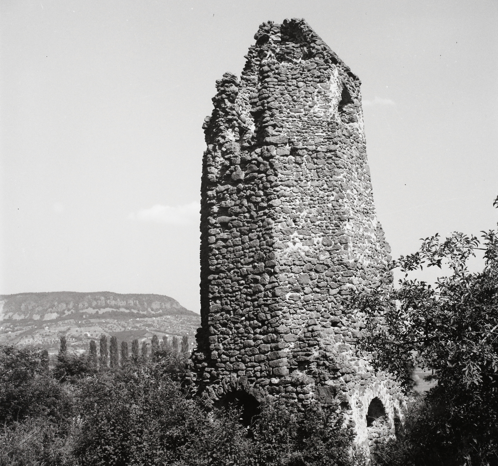 Hungary,Lake Balaton, Szigliget, Avas, román kori templom maradványa., 1955, Kotnyek Antal, ruins, fir trees, Fortepan #21904