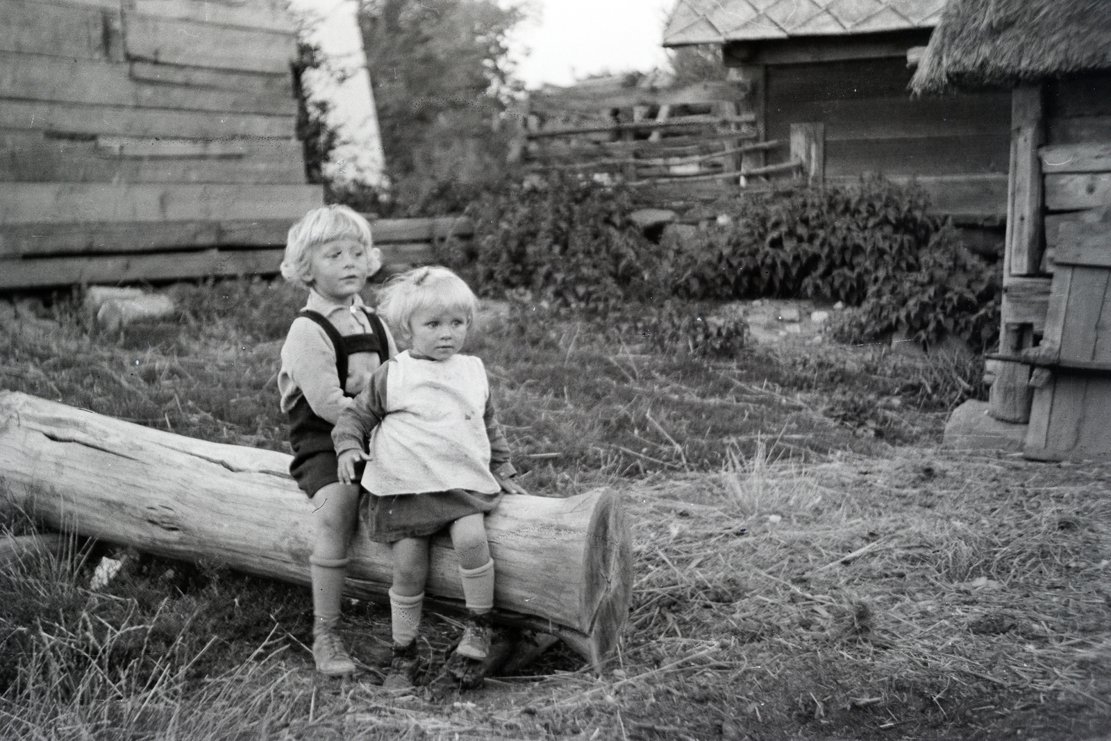 1941, Kellner Ludwig, kids, thatched roof, hutch, trunk, Fortepan #219051