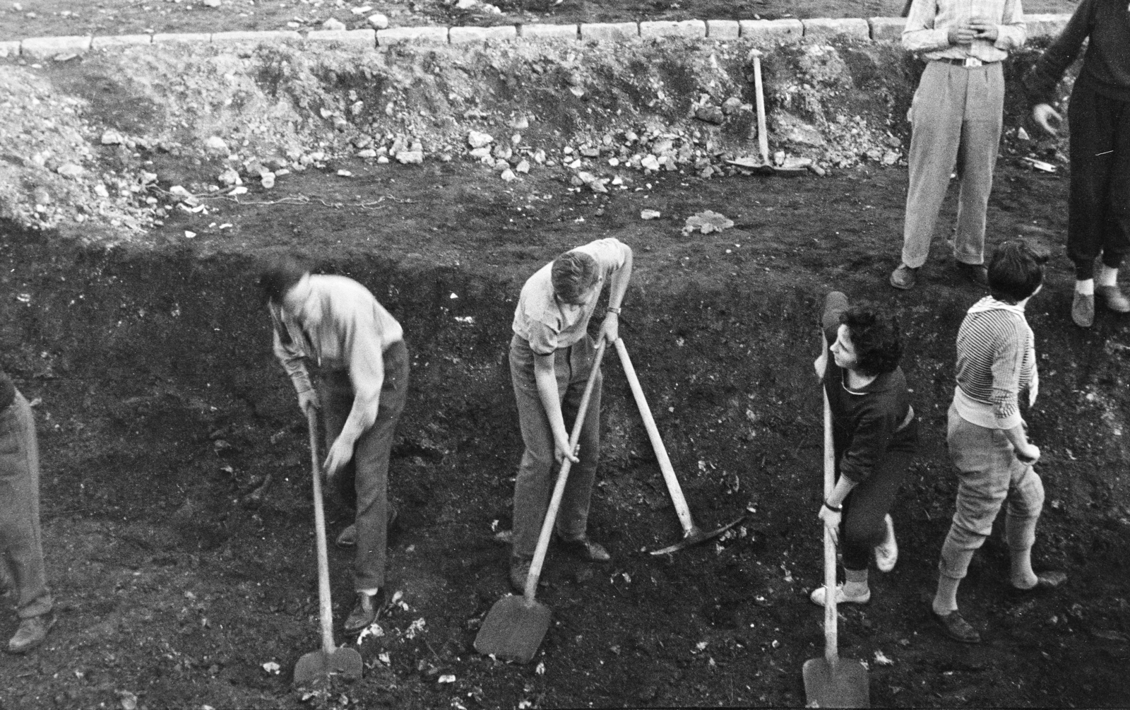 Hungary, Budapest XI., parképítés a Petőfi híd budai hídfőjétől délre (később itt az ELTE és a BME épületei állnak)., 1964, Krantz Károly, volunteering, shovel, Budapest, Fortepan #219203