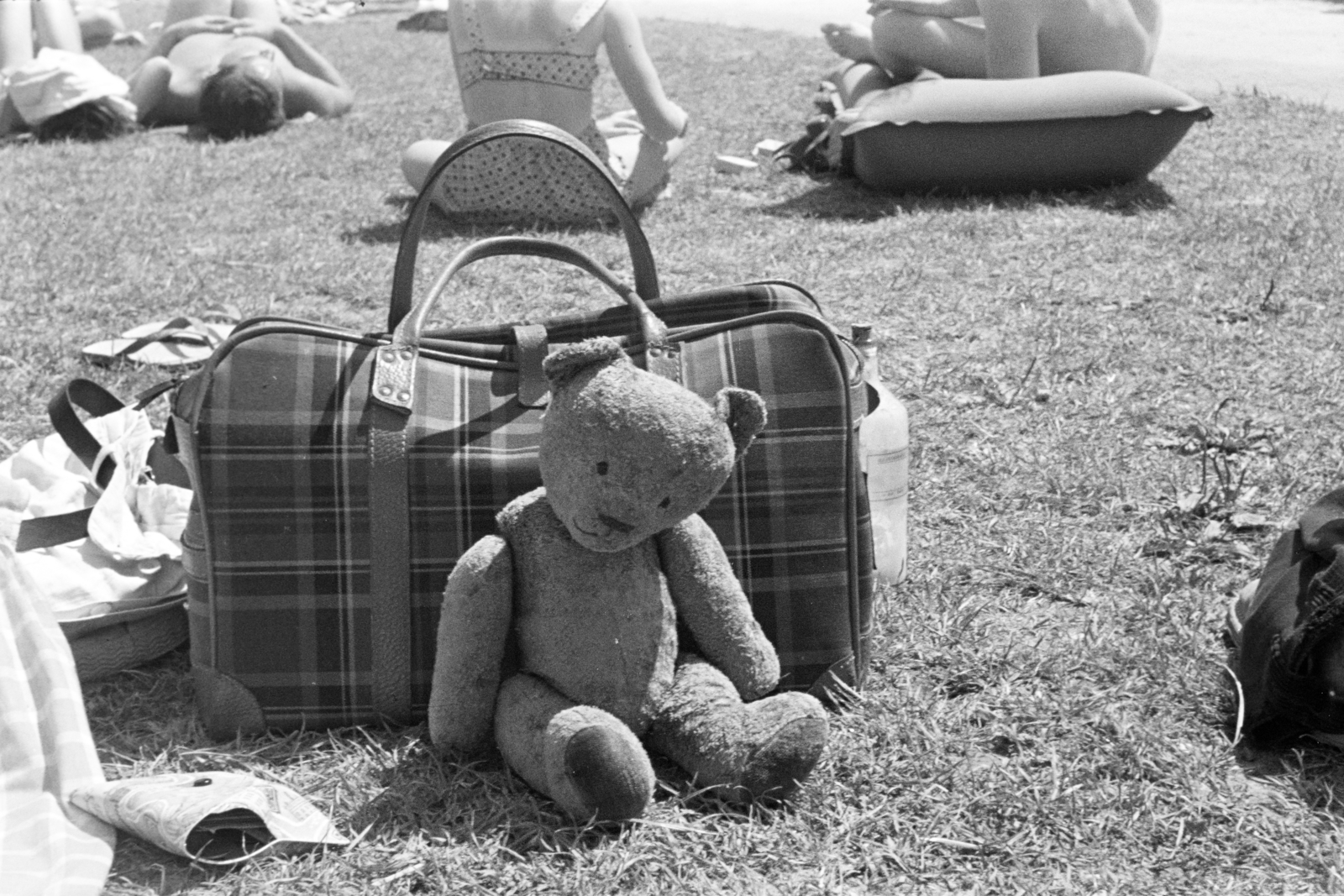 1964, Krantz Károly, játékmackó, Fortepan #219229