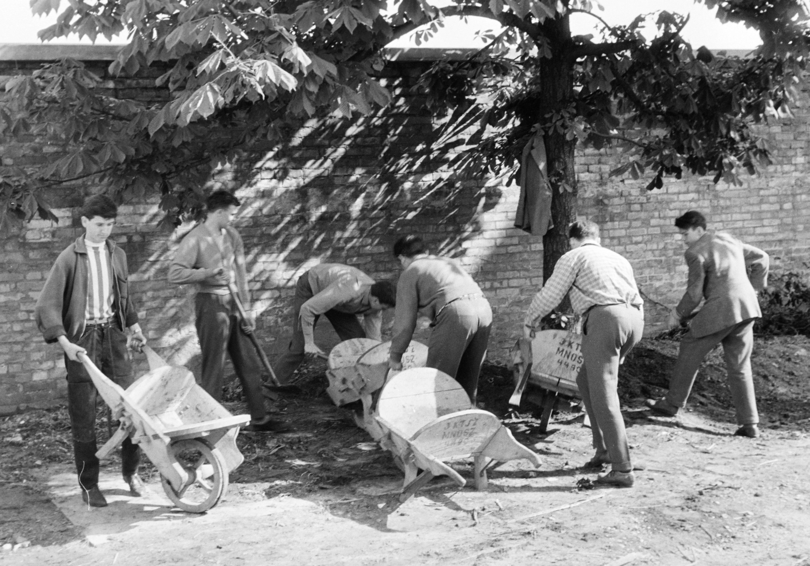 1961, Krantz Károly, talicska, Fortepan #219244