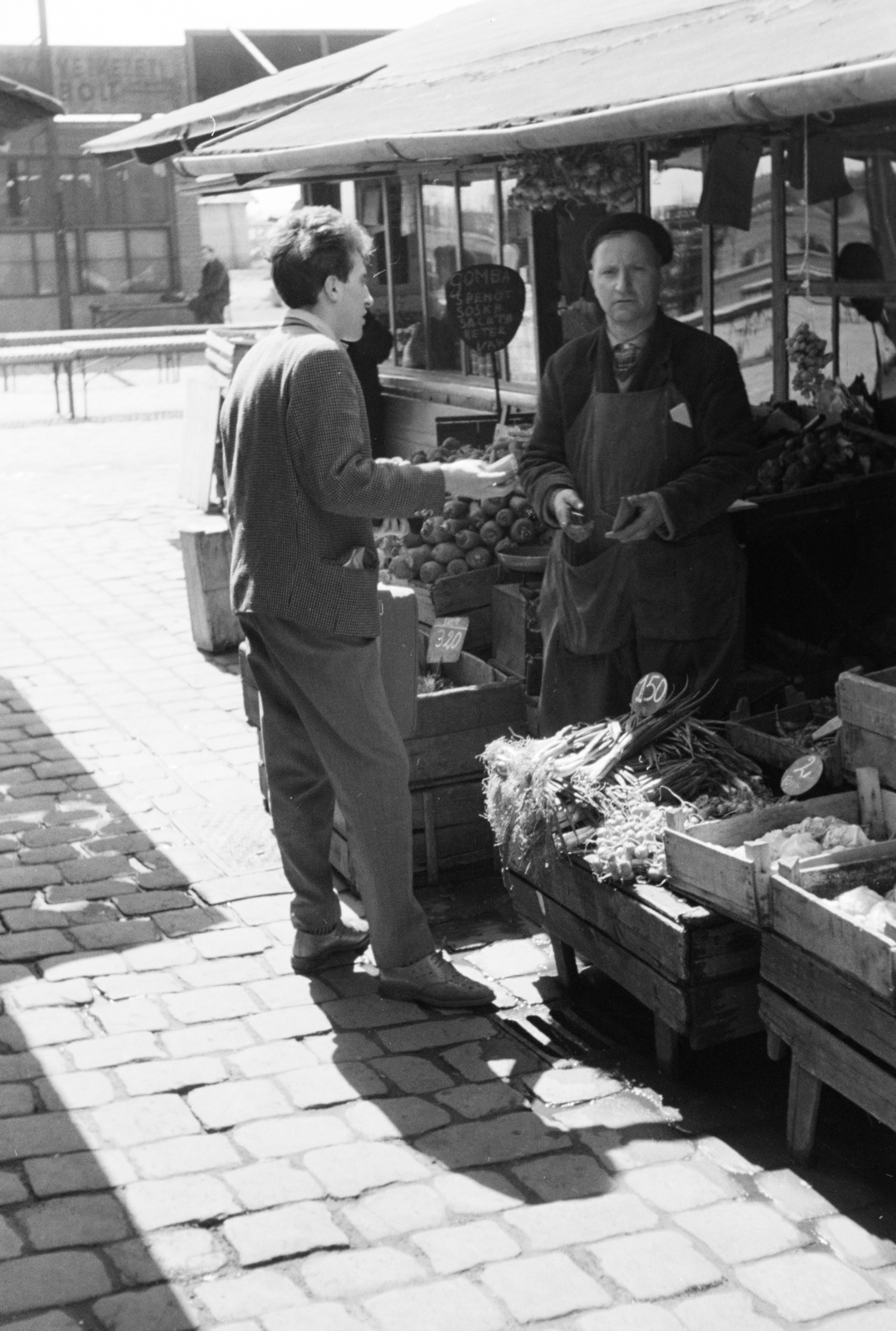 Hungary, Budapest IX., Haller (Hámán Kató) utca, Haller piac., 1964, Krantz Károly, greengrocer, Budapest, Fortepan #219263