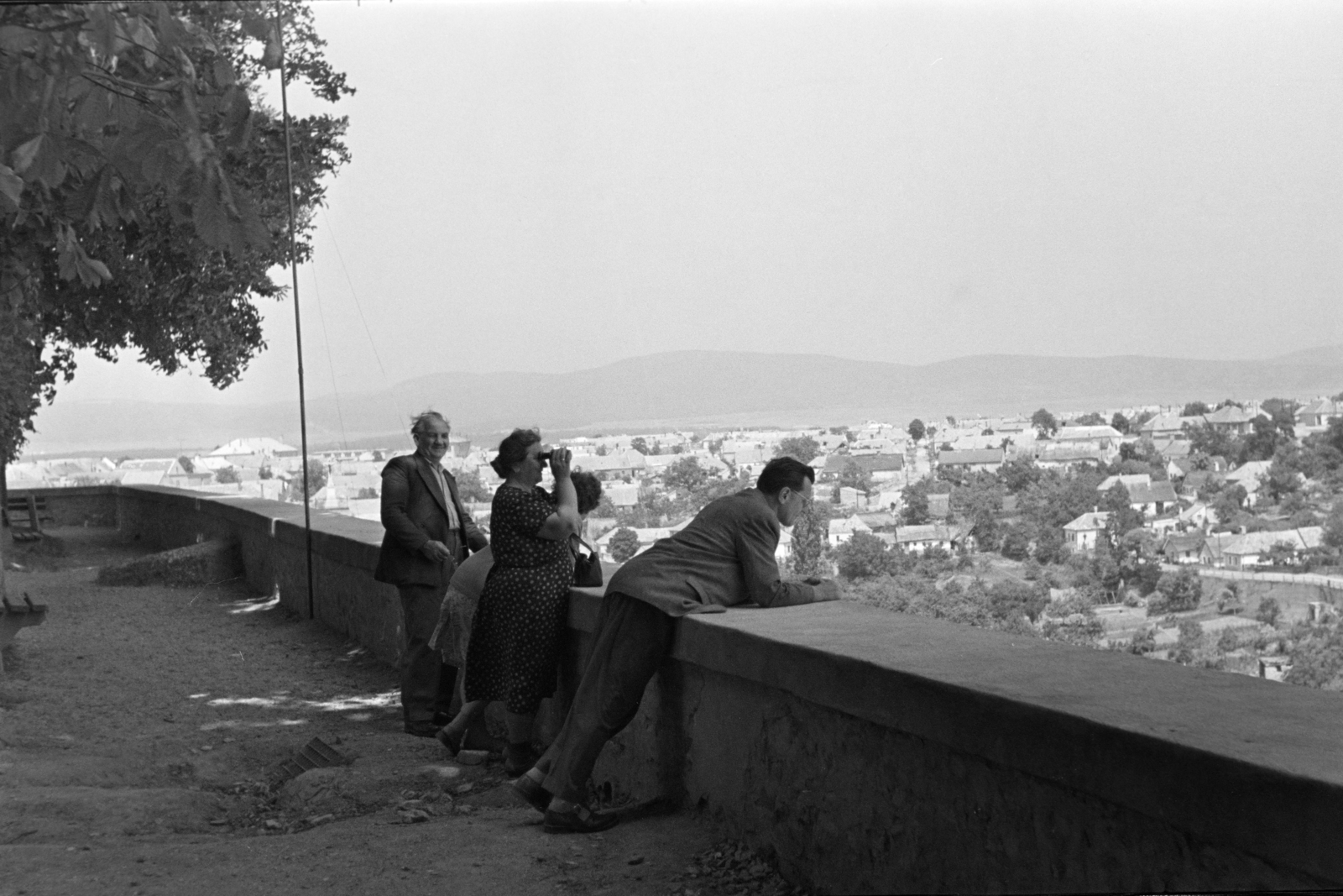 Hungary, Veszprém, Vár, kilátás a Nagyszeminárium kertjéből, háttérben a Dózsaváros, jobb szélen a Kertalja utca., 1960, Krantz Károly, binoculars, Fortepan #219332