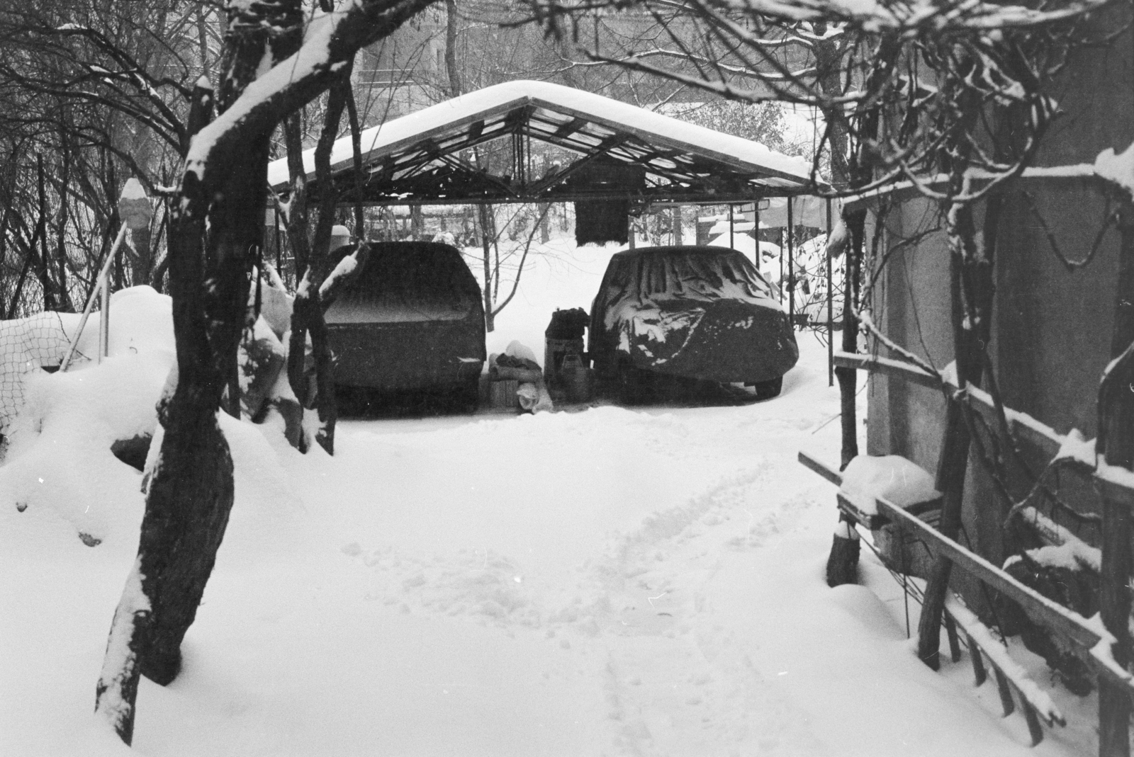 1984, Krizsanóczi Anna, tilt, winter, wood, snow, canopy, automobile, Fortepan #219368