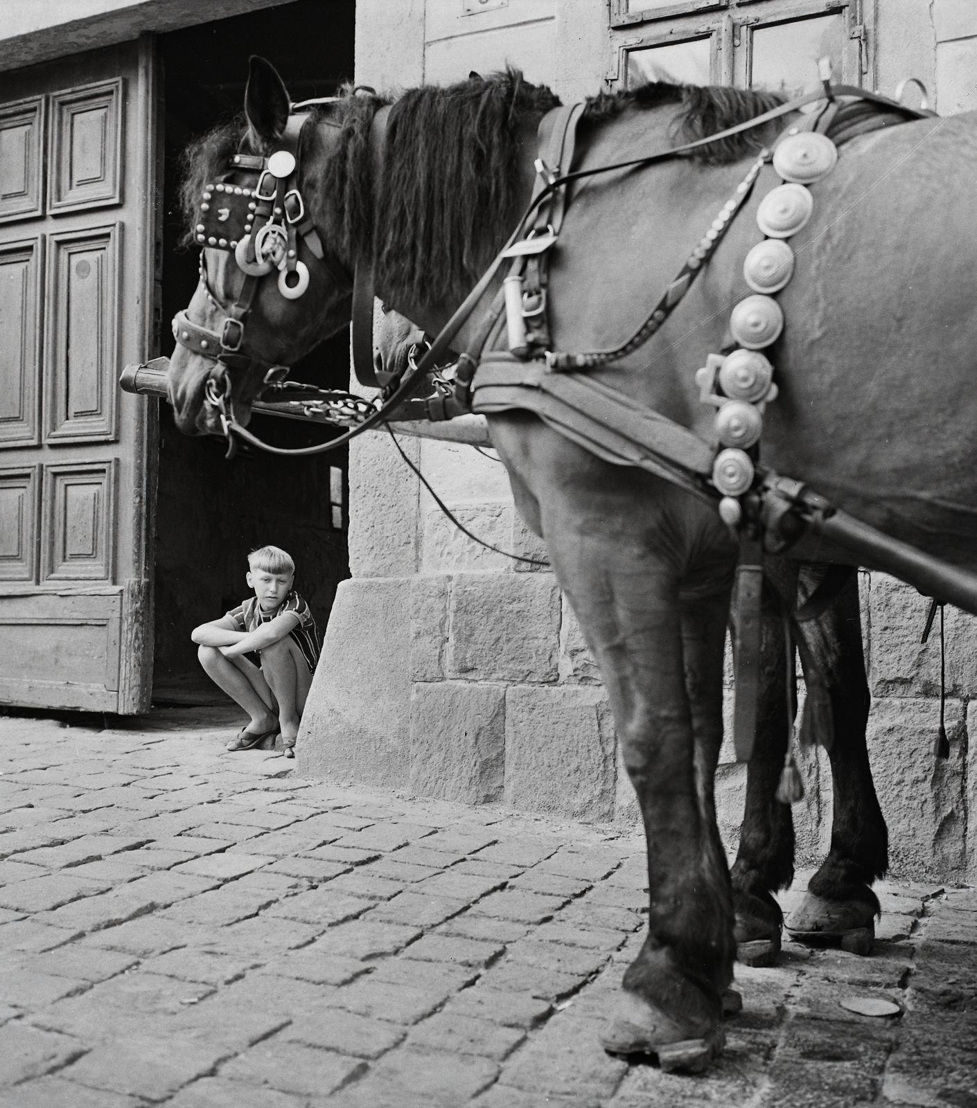 Hungary, Szentendre, Alkotmány u 5. Szofrics ház., 1971, Kotnyek Antal, horse, gate, kid, coach, cobblestones, saddle, curb, Fortepan #21937